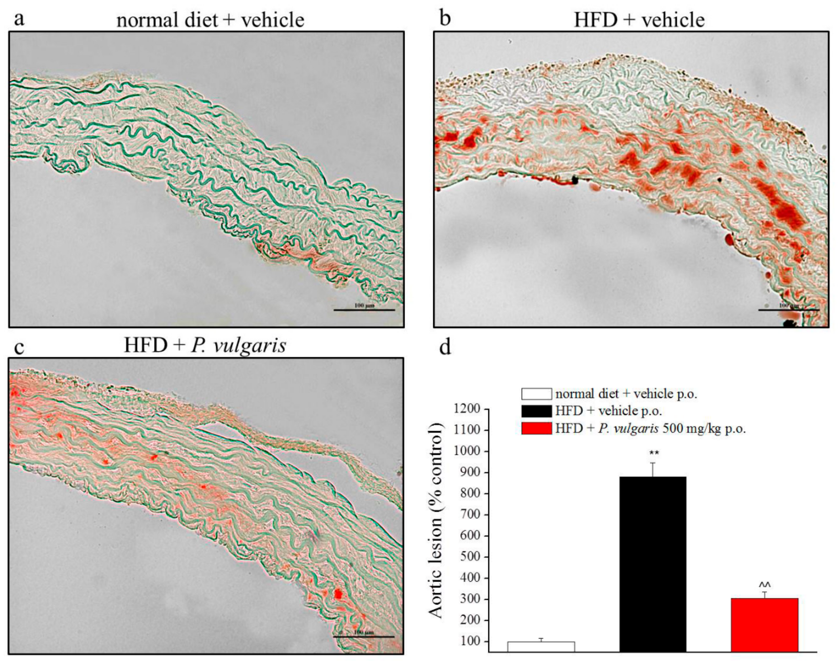 Nutrients 11 01778 g008 Nutrients 11 01778 g008