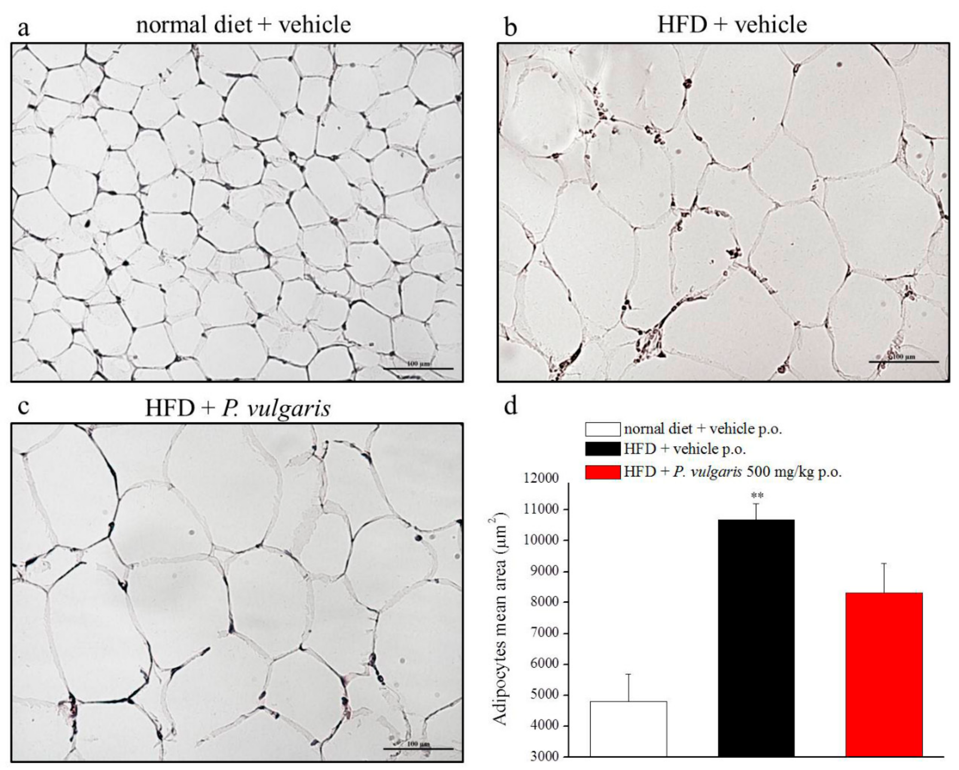 Nutrients 11 01778 g009 Nutrients 11 01778 g009