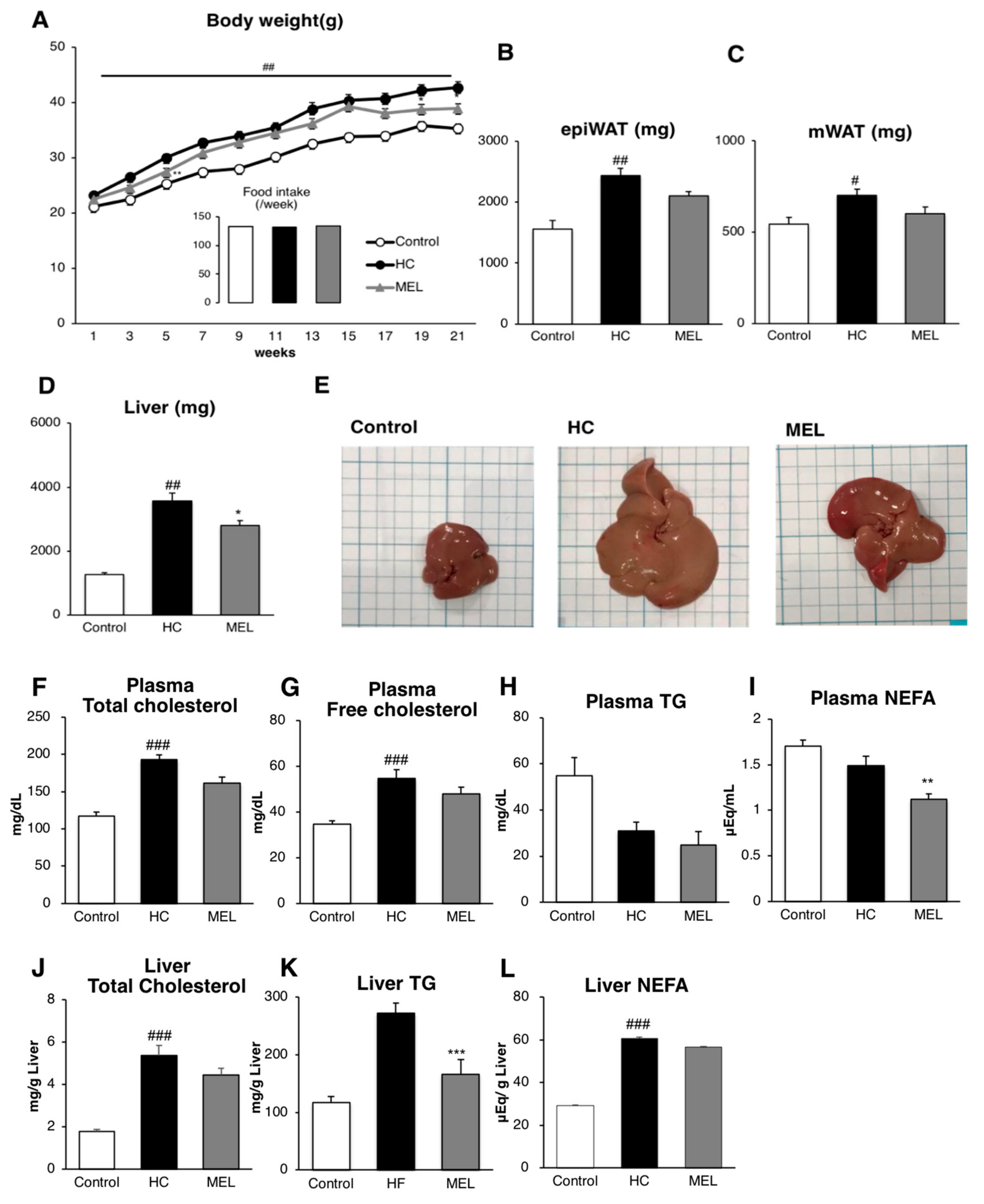 Nutrients 11 01779 g001 Nutrients 11 01779 g001