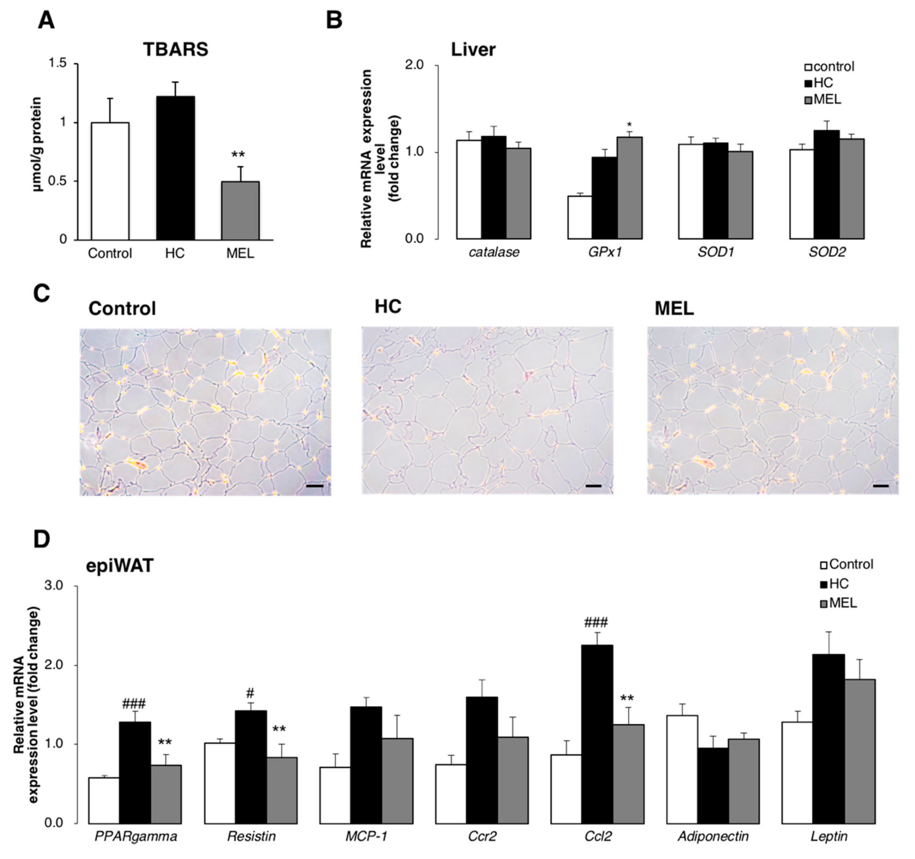 Nutrients 11 01779 g004 Nutrients 11 01779 g004