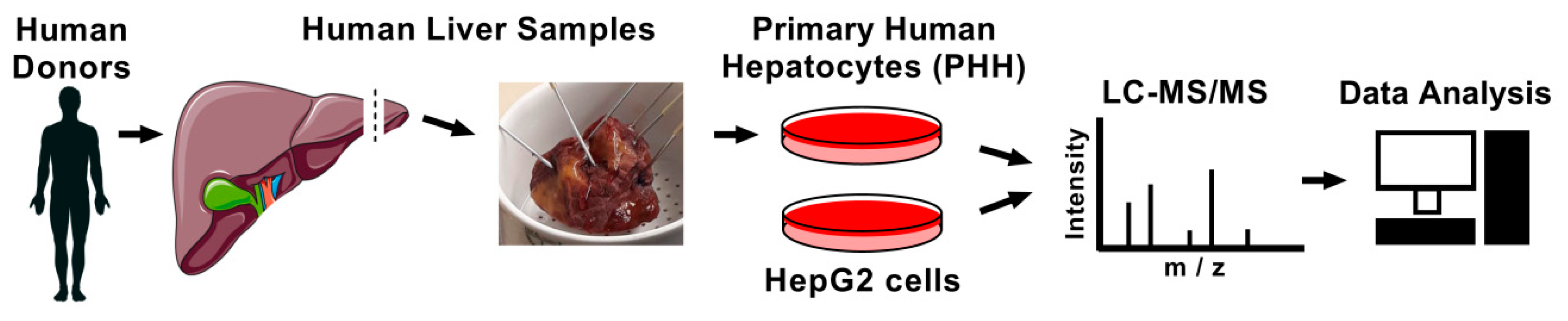 Nutrients 11 01795 g001 Nutrients 11 01795 g001