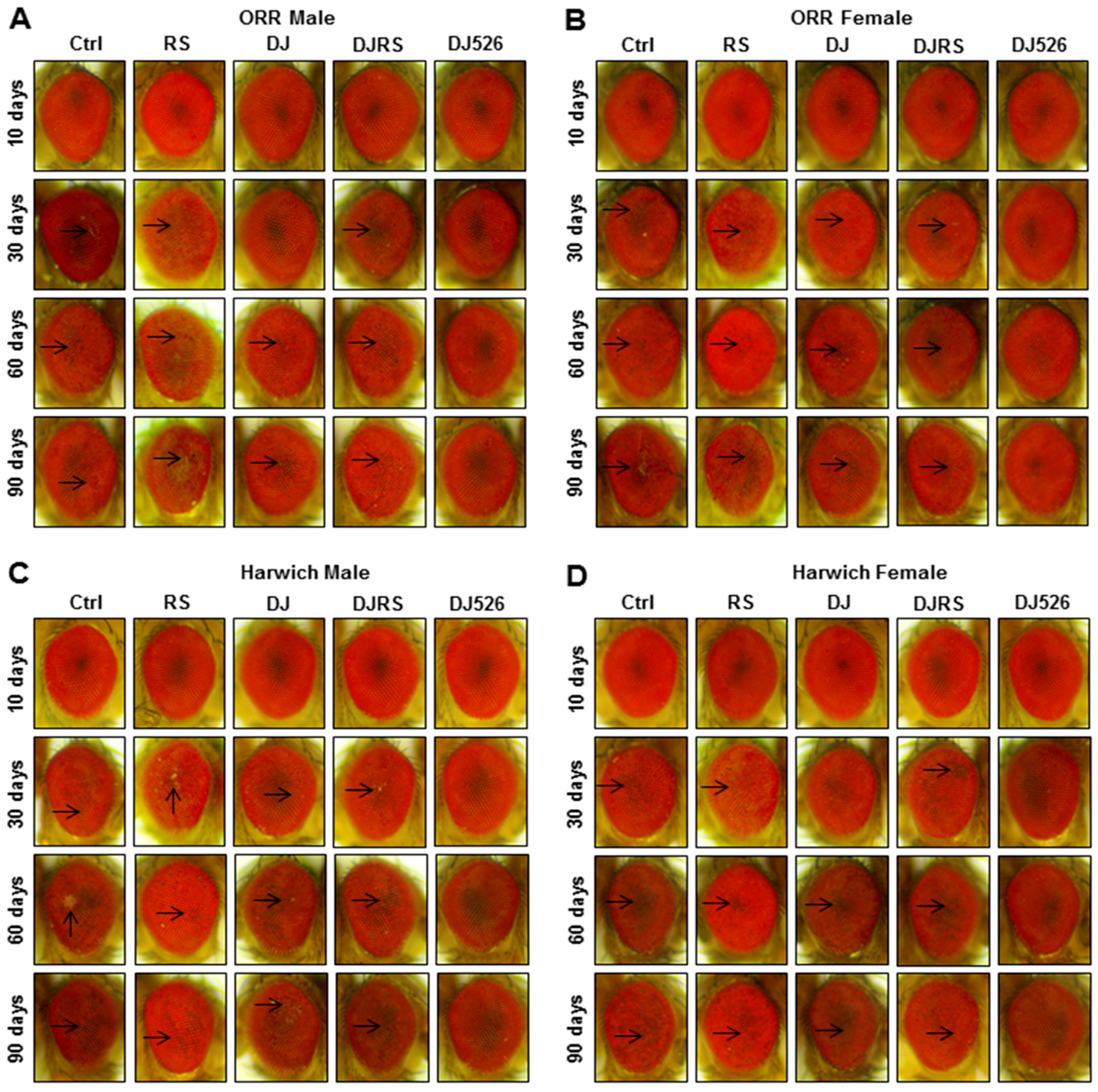 Nutrients 11 01804 g004