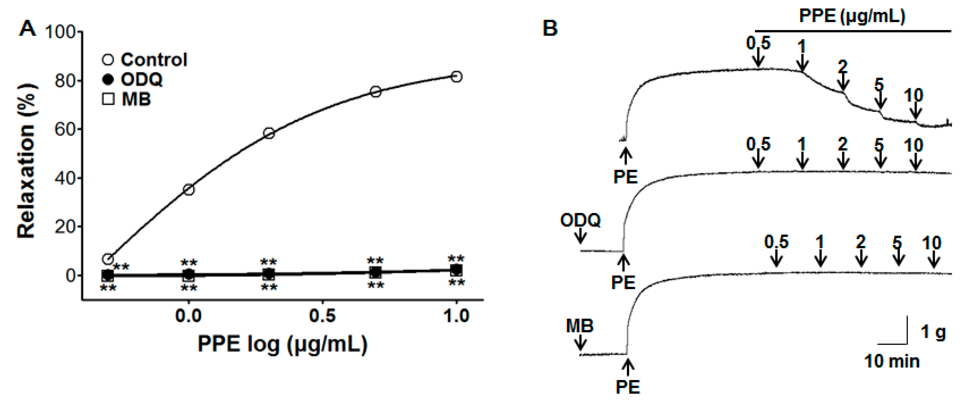 Nutrients 11 01816 g003 Nutrients 11 01816 g003