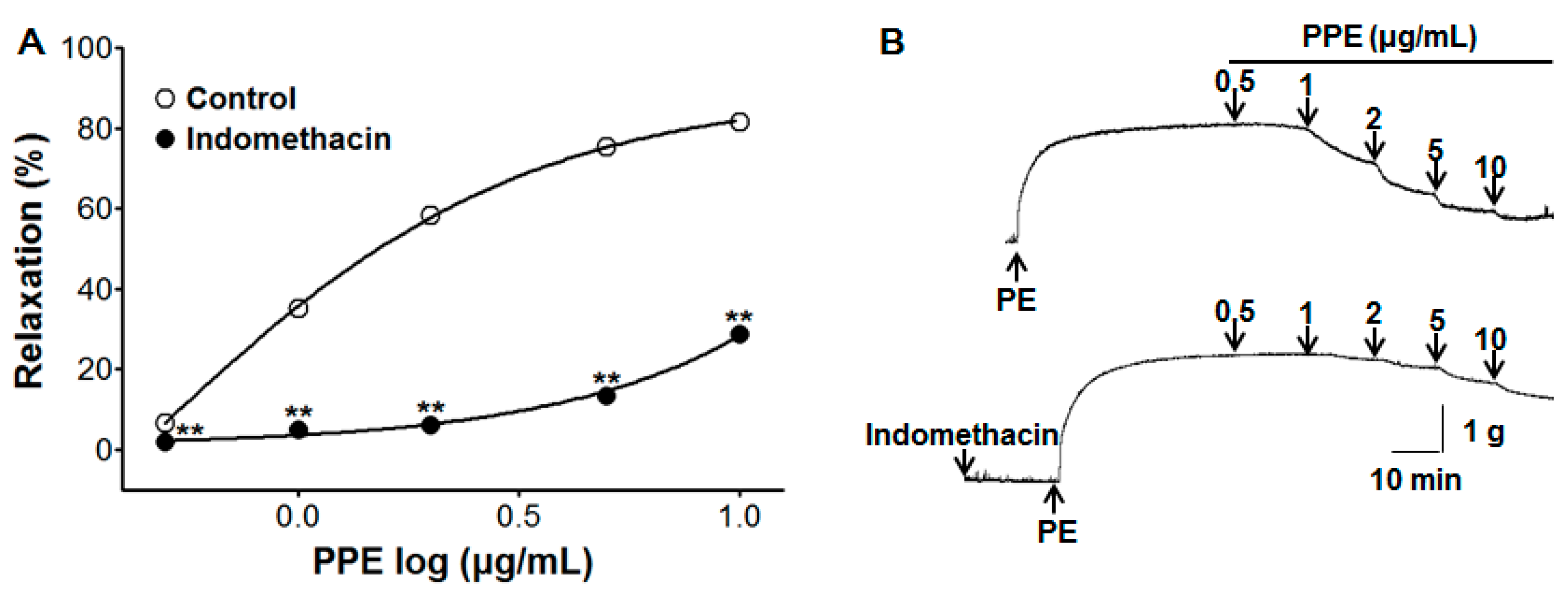 Nutrients 11 01816 g004 Nutrients 11 01816 g004