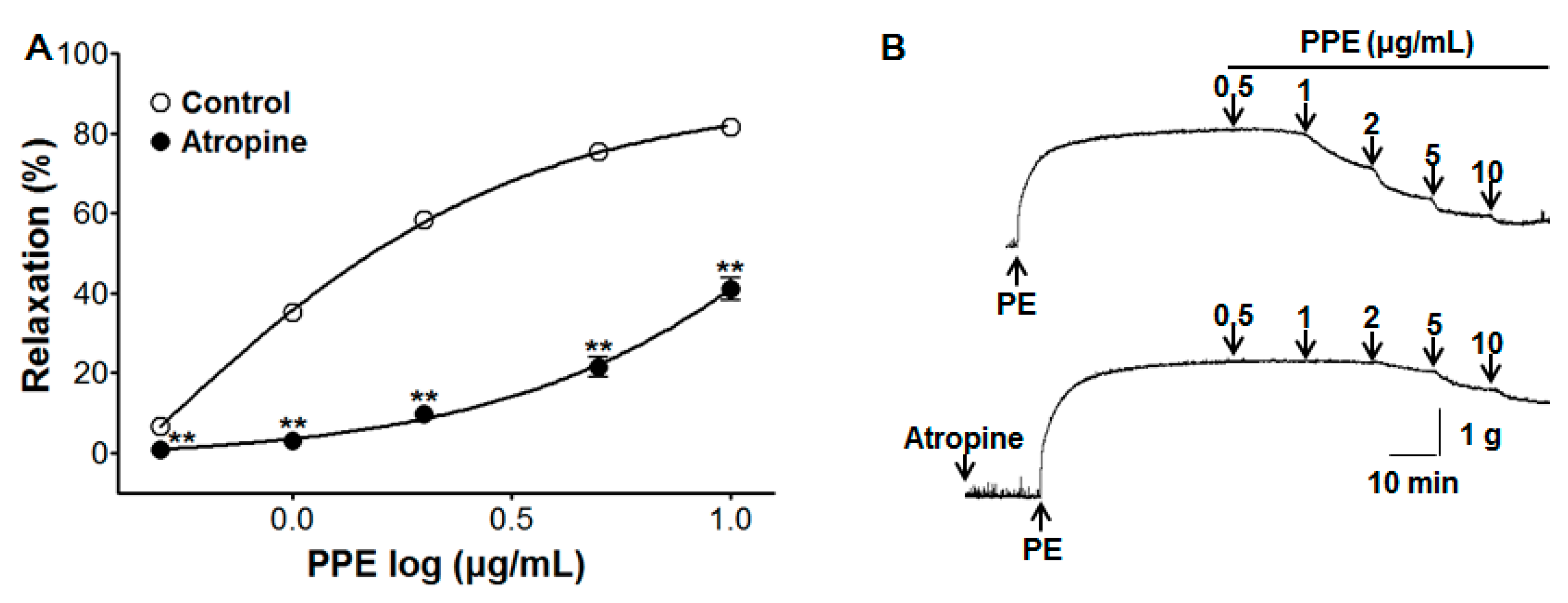 Nutrients 11 01816 g005 Nutrients 11 01816 g005