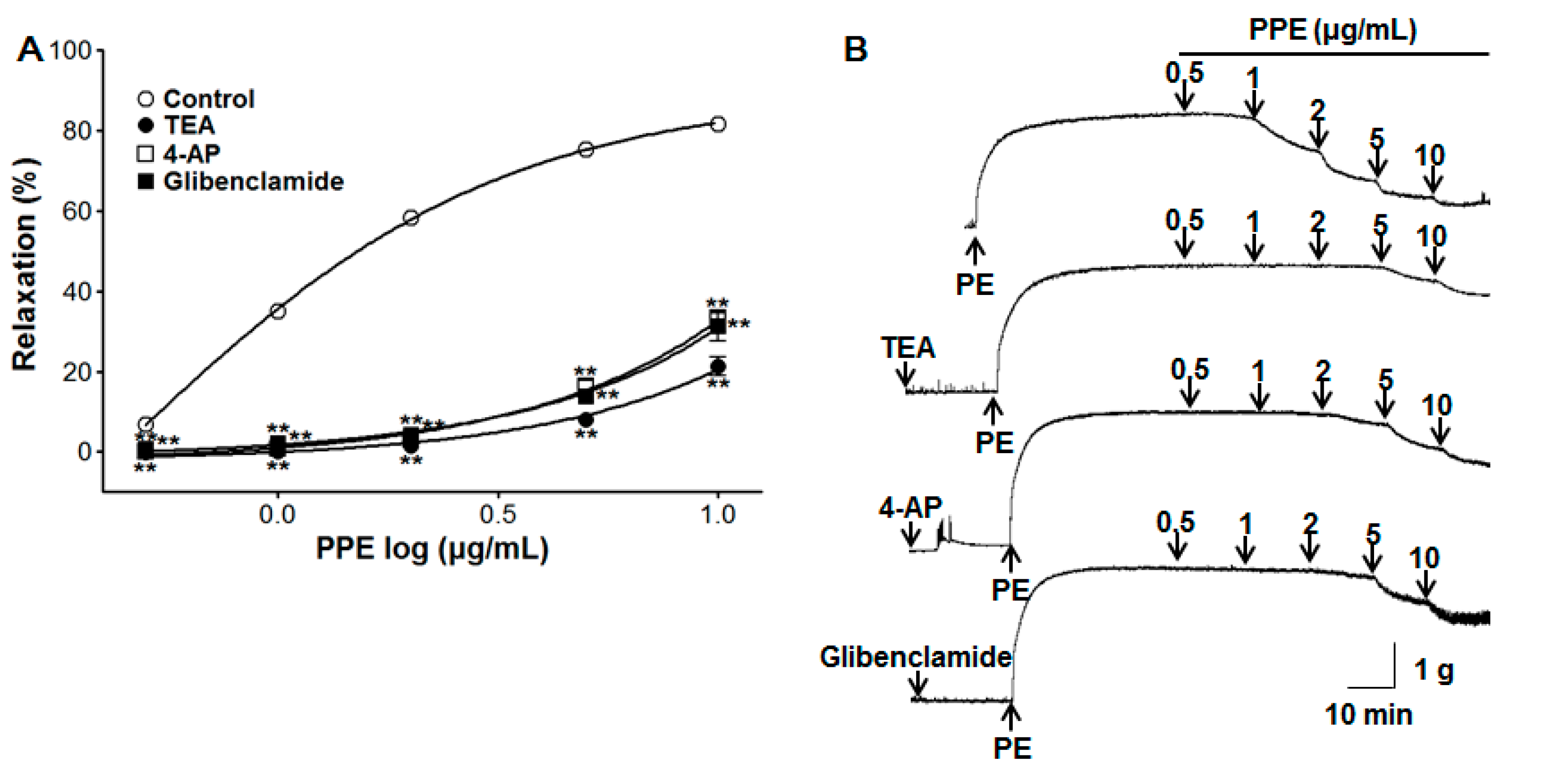 Nutrients 11 01816 g006 Nutrients 11 01816 g006