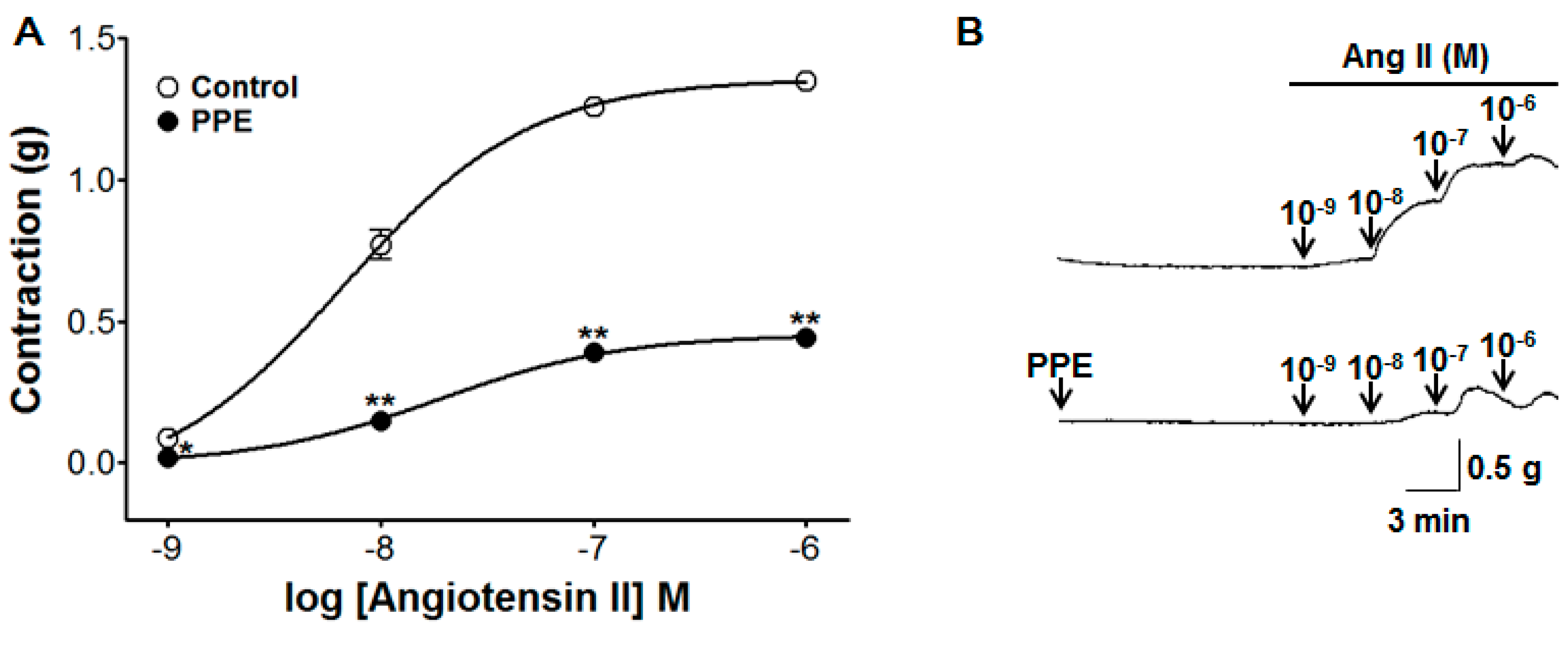 Nutrients 11 01816 g008 Nutrients 11 01816 g008