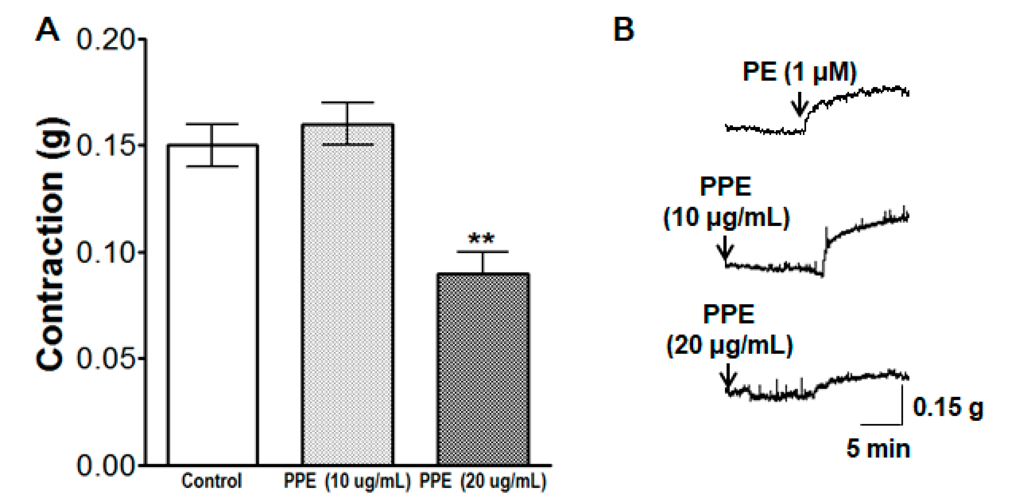 Nutrients 11 01816 g010 Nutrients 11 01816 g010