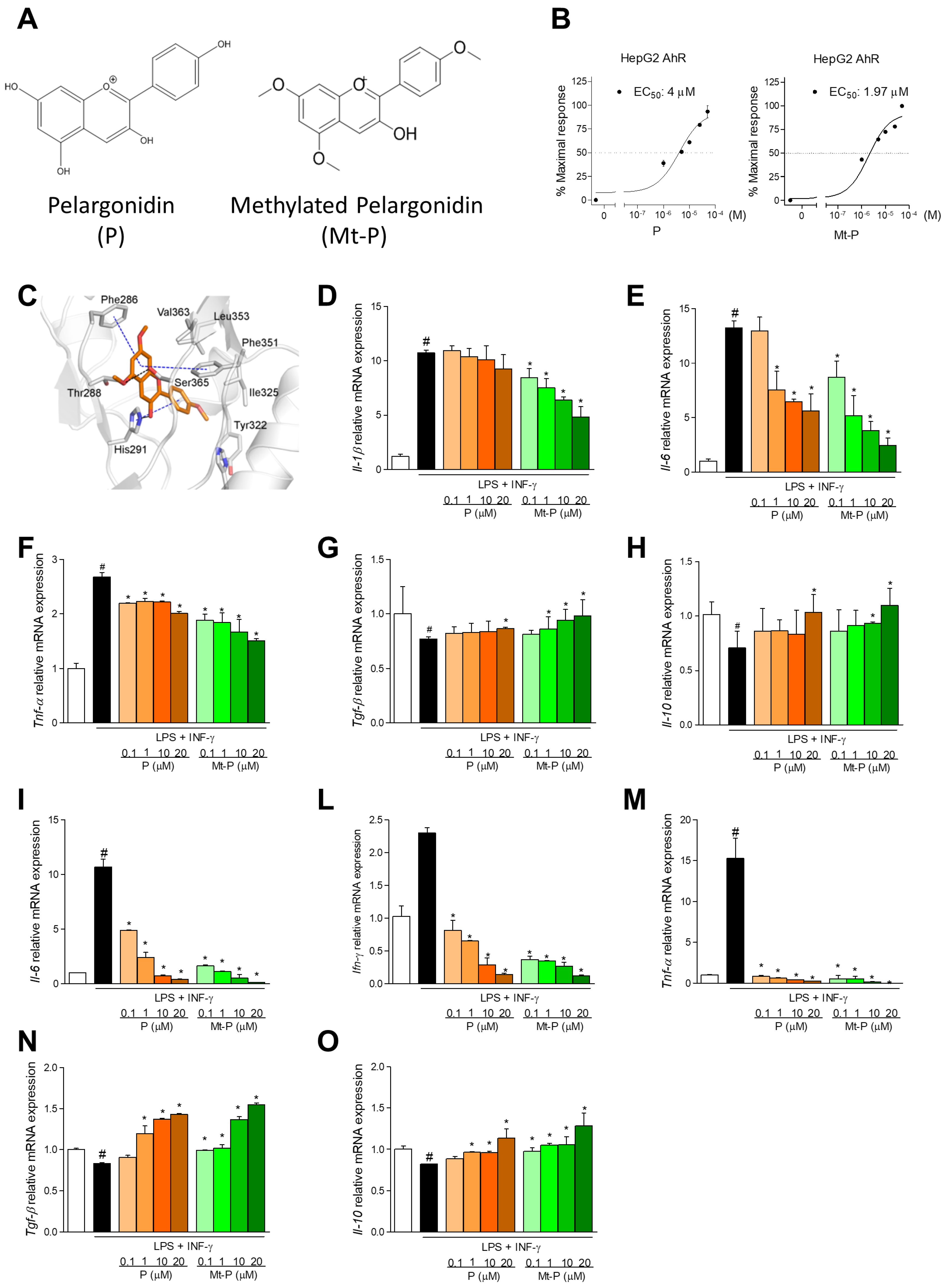 Nutrients 11 01820 g001