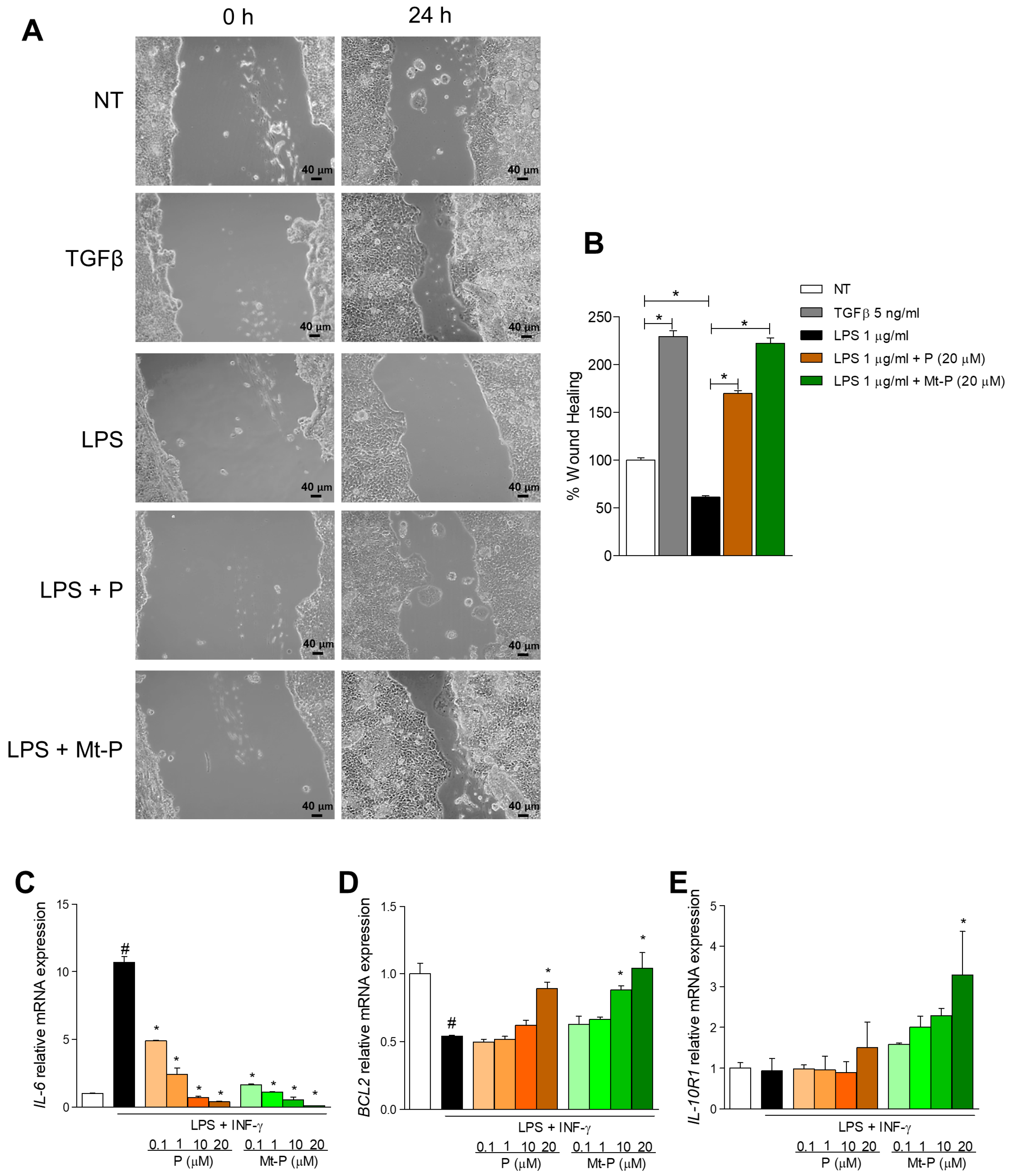 Nutrients 11 01820 g003