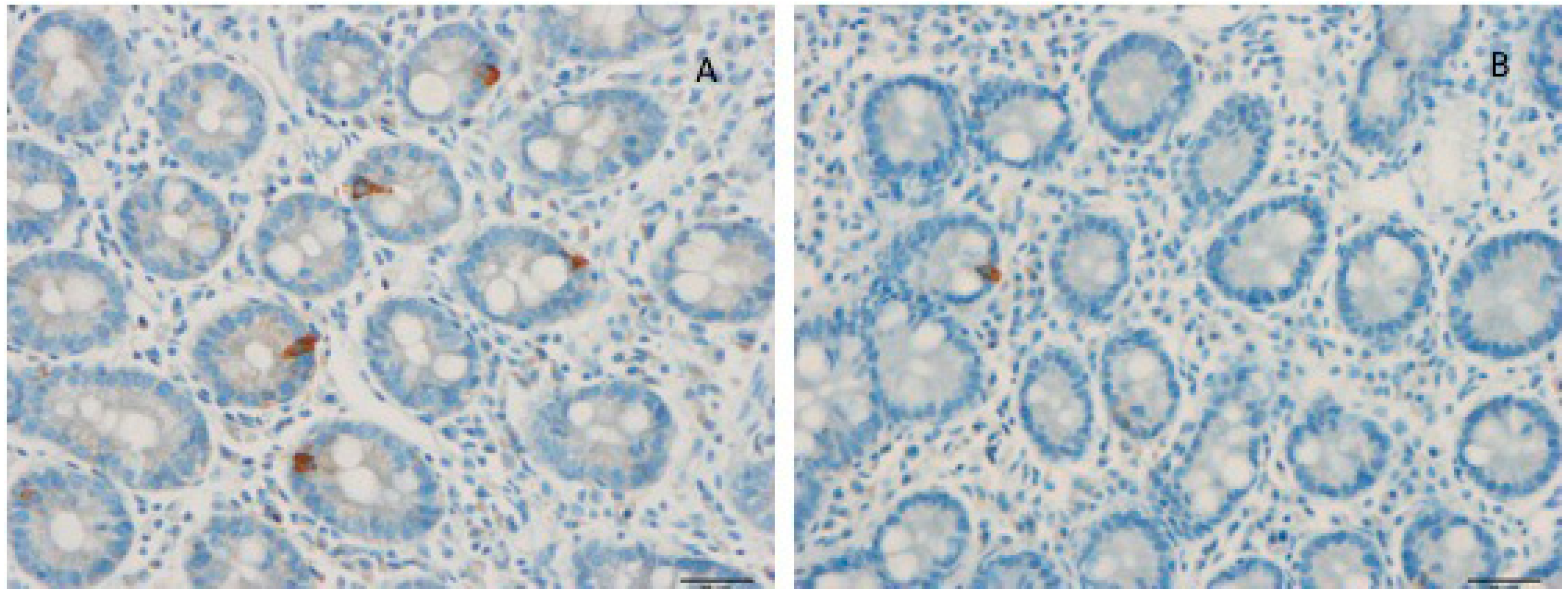 Nutrients 11 01824 g003