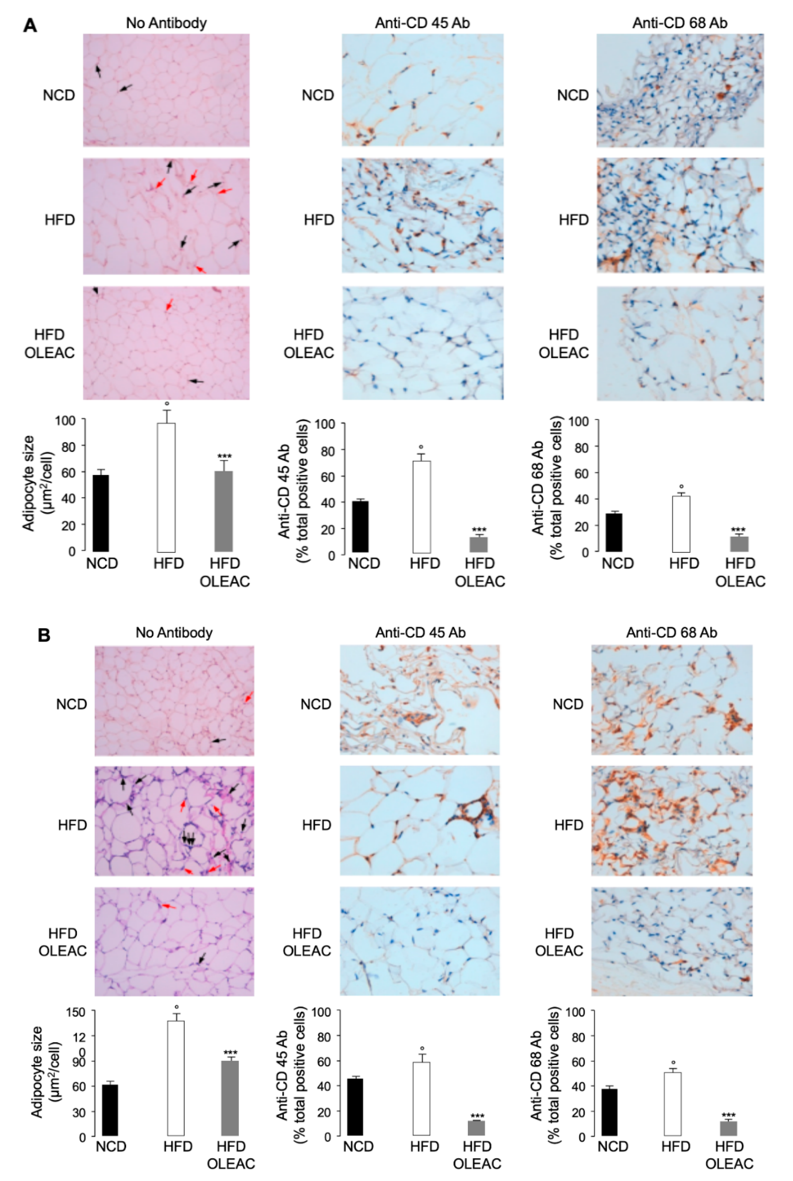 Nutrients 11 01829 g001 Nutrients 11 01829 g001