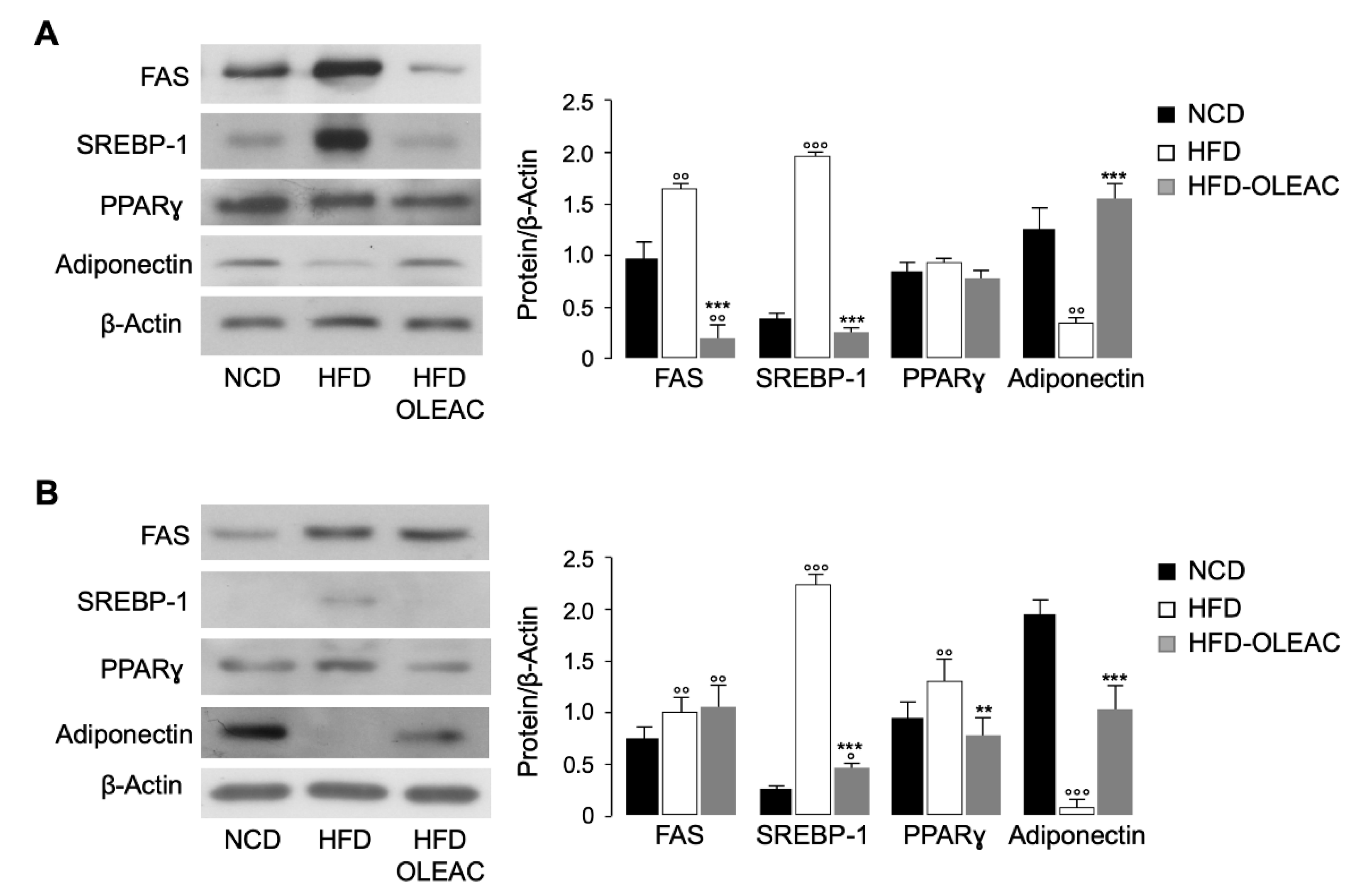 Nutrients 11 01829 g002 Nutrients 11 01829 g002