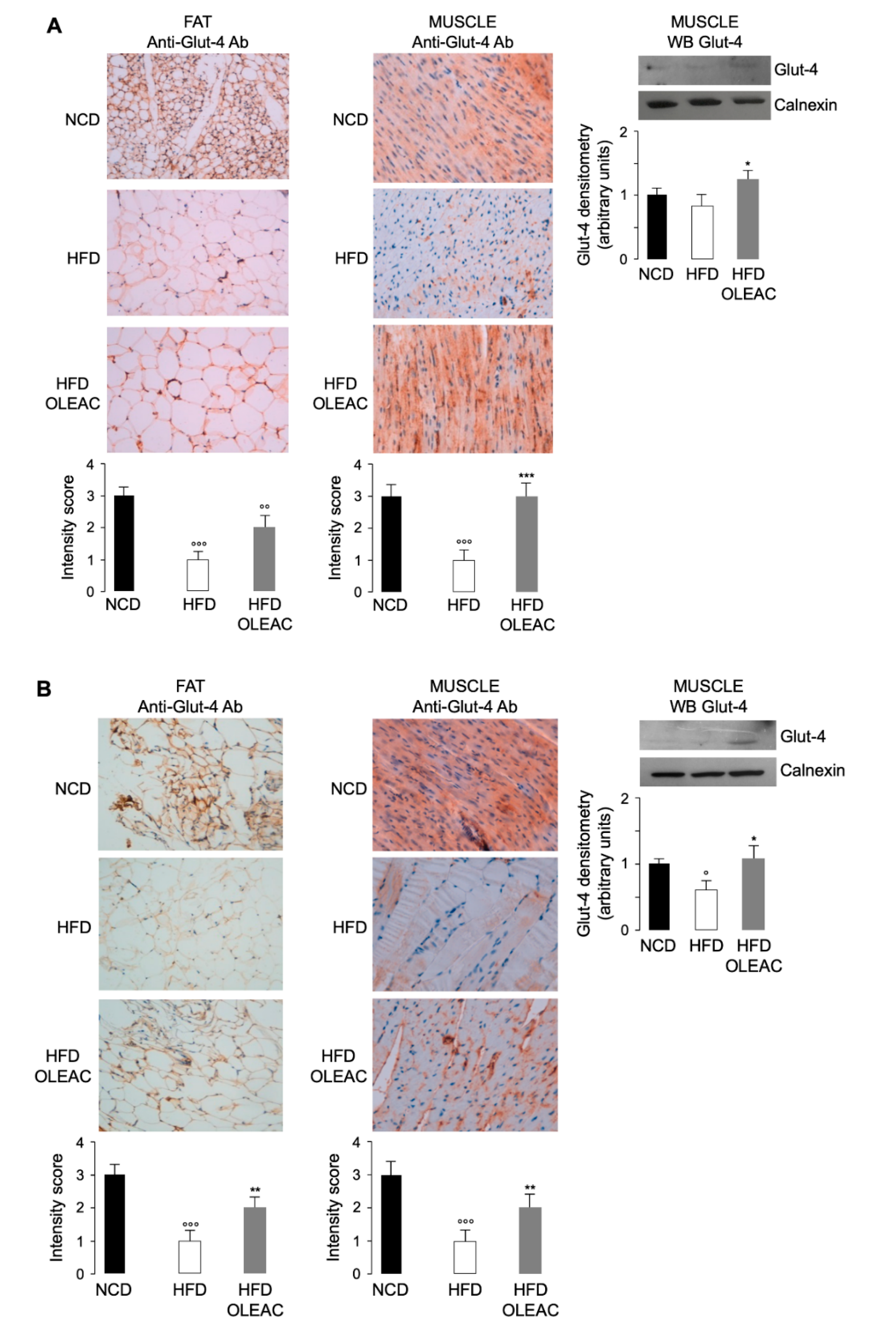 Nutrients 11 01829 g003 Nutrients 11 01829 g003