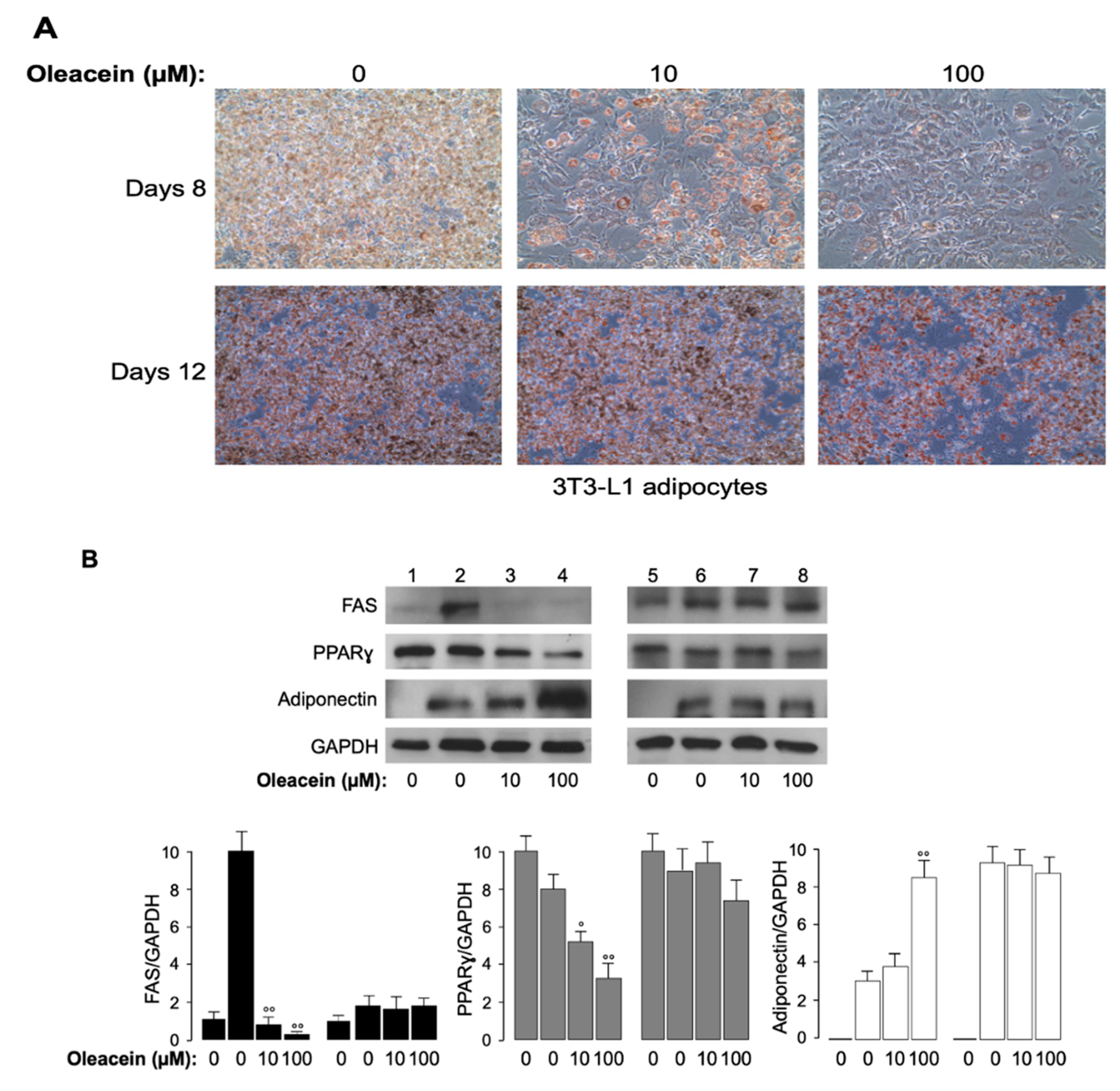 Nutrients 11 01829 g004 Nutrients 11 01829 g004
