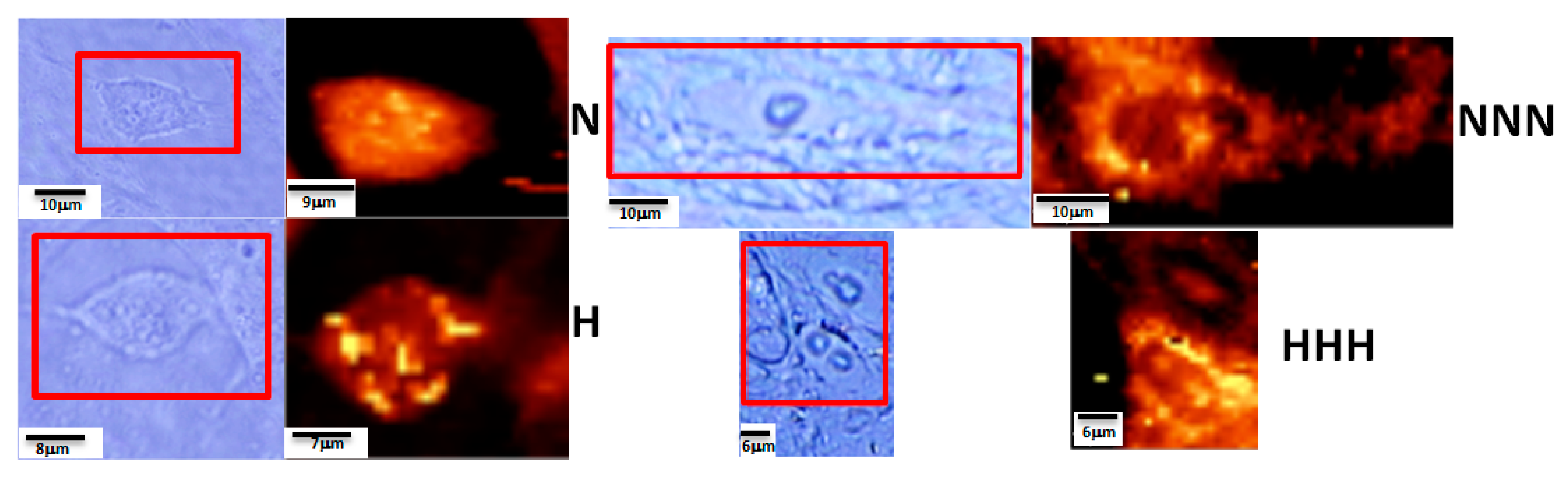 Nutrients 11 01835 g003 Nutrients 11 01835 g003