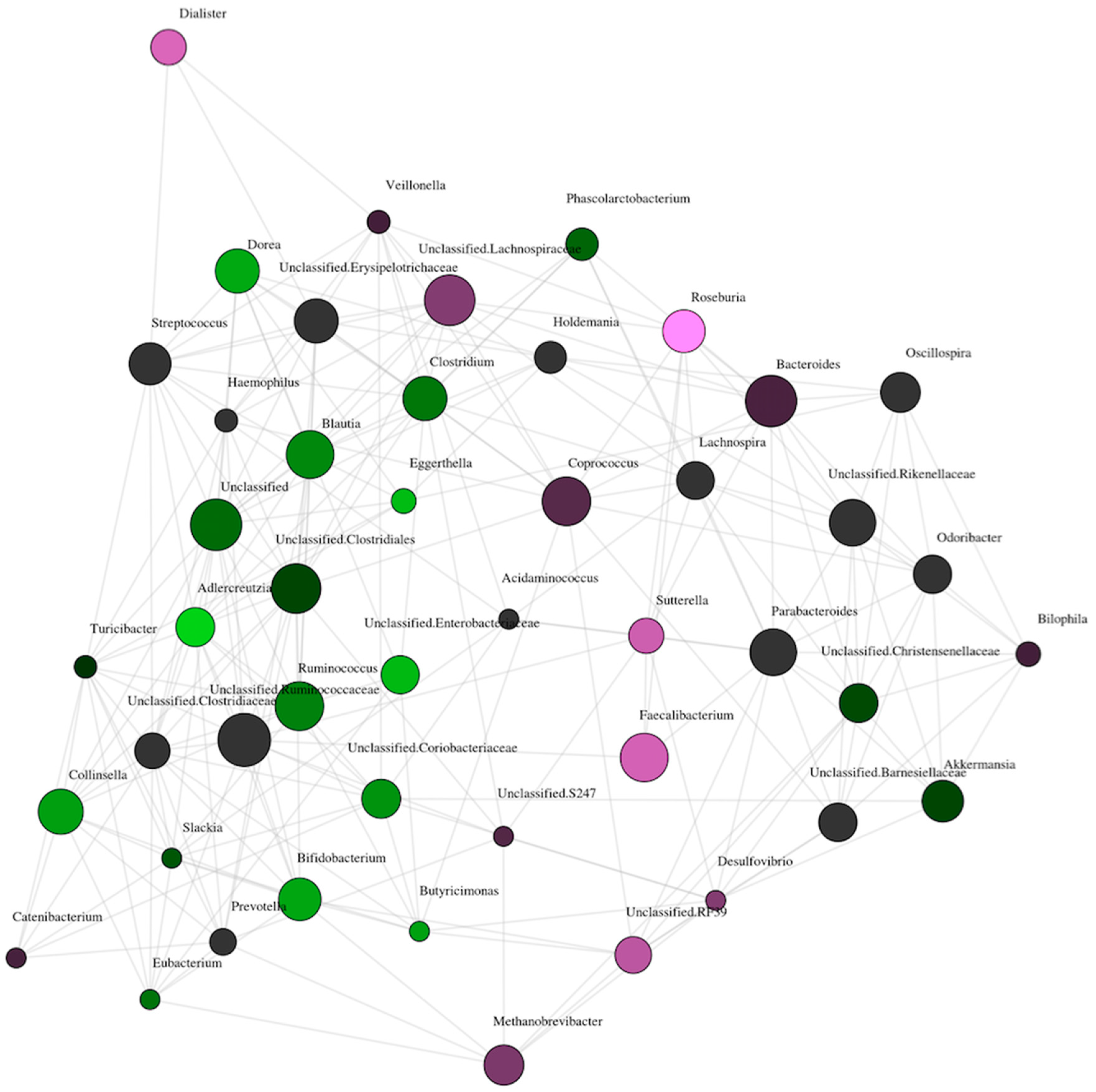 Nutrients 11 01836 g003 Nutrients 11 01836 g003