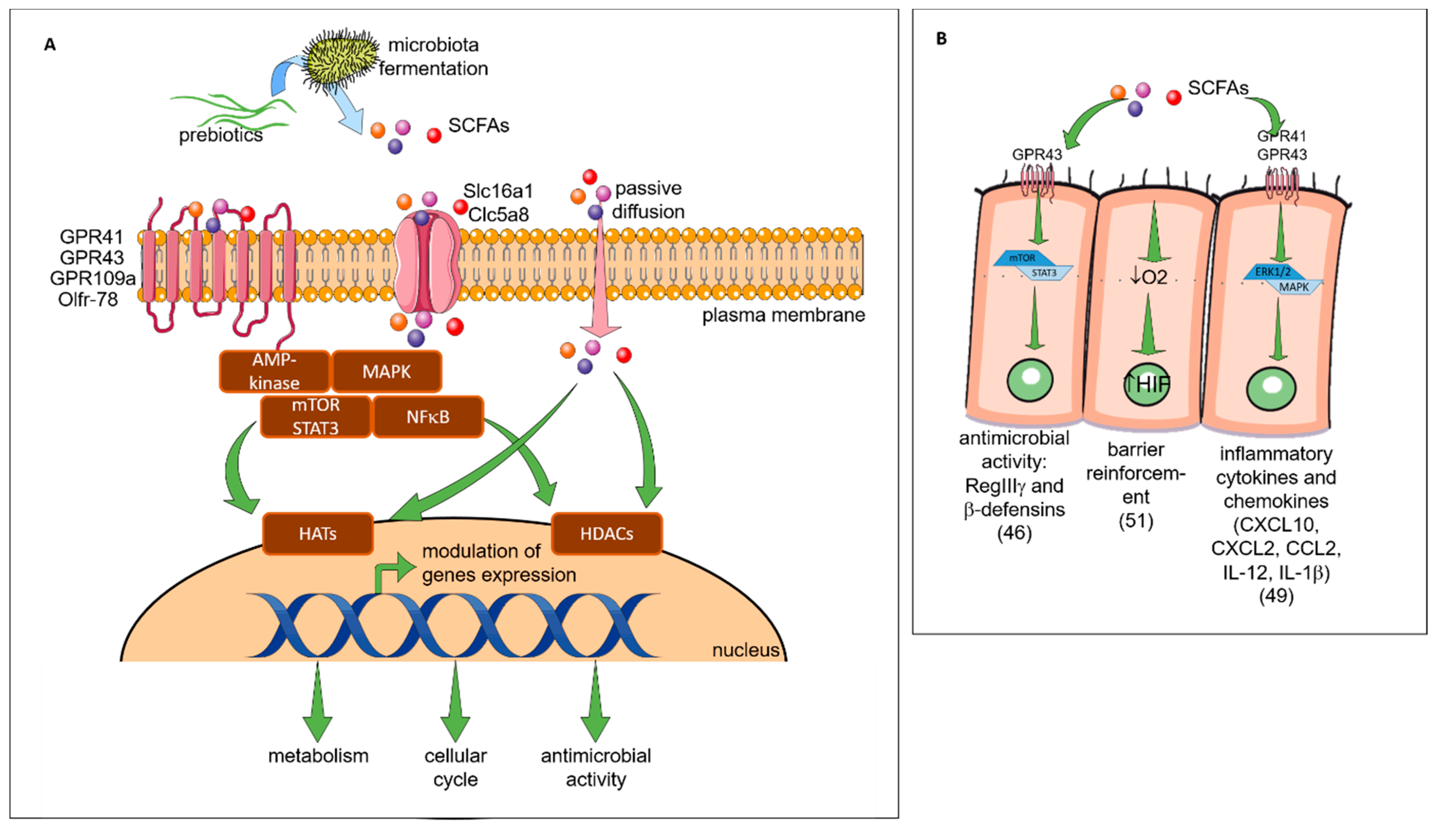 Nutrients 11 01841 g003a