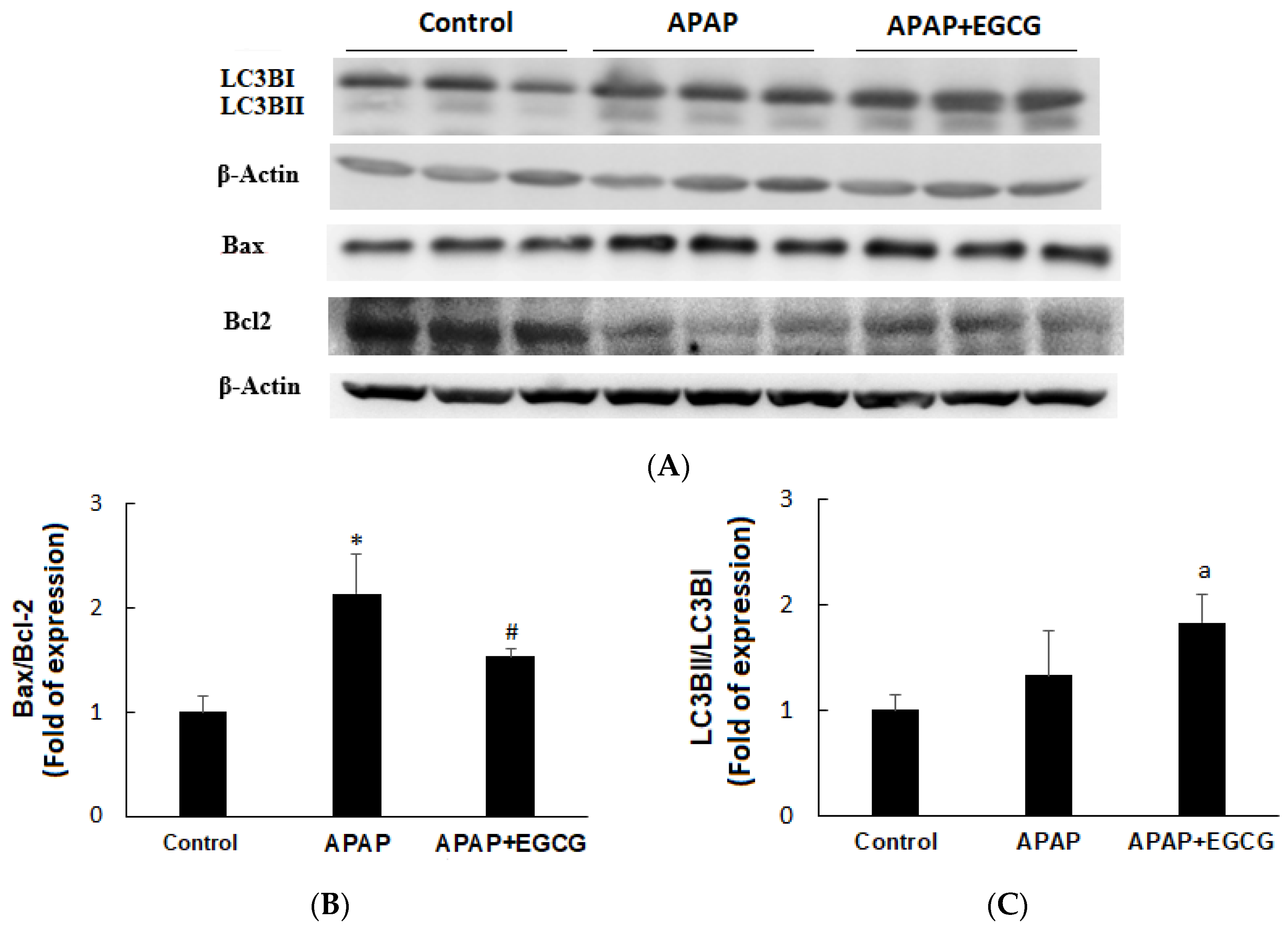 Nutrients 11 01862 g003