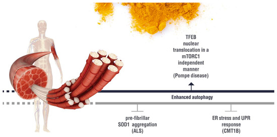 Nutrients 11 01881 g004 550