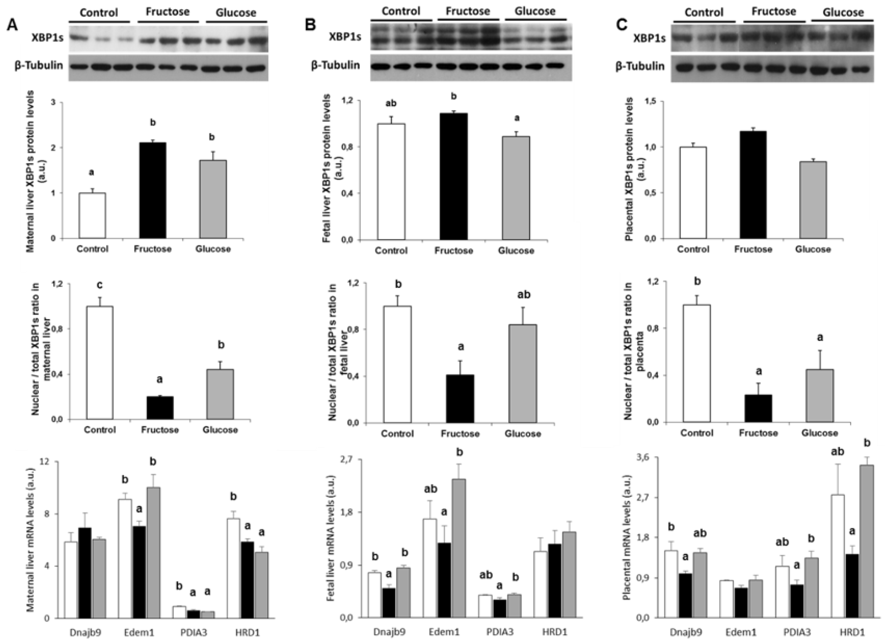 Nutrients 11 01935 g004
