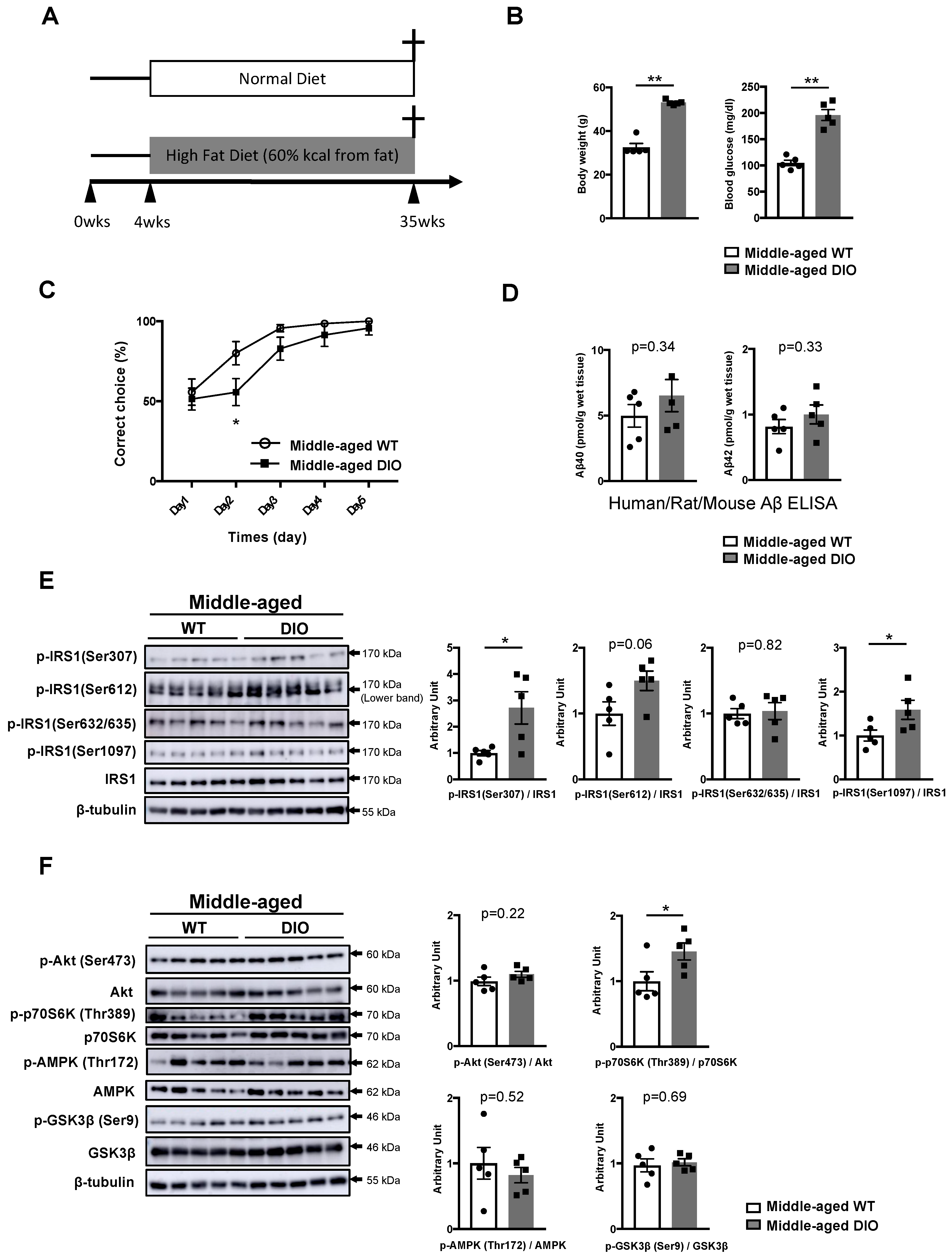 Nutrients 11 01942 g001 Nutrients 11 01942 g001