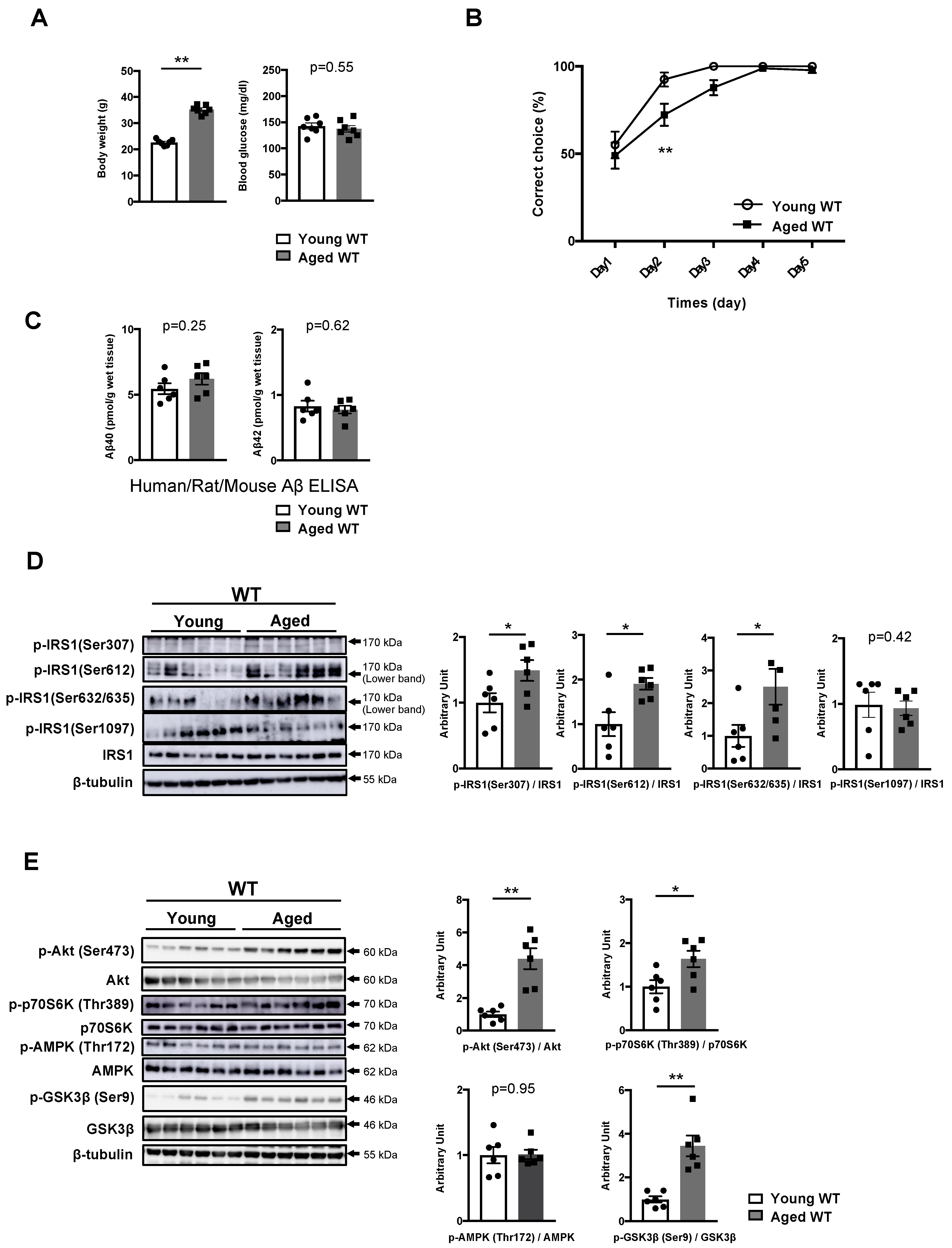 Nutrients 11 01942 g003 Nutrients 11 01942 g003