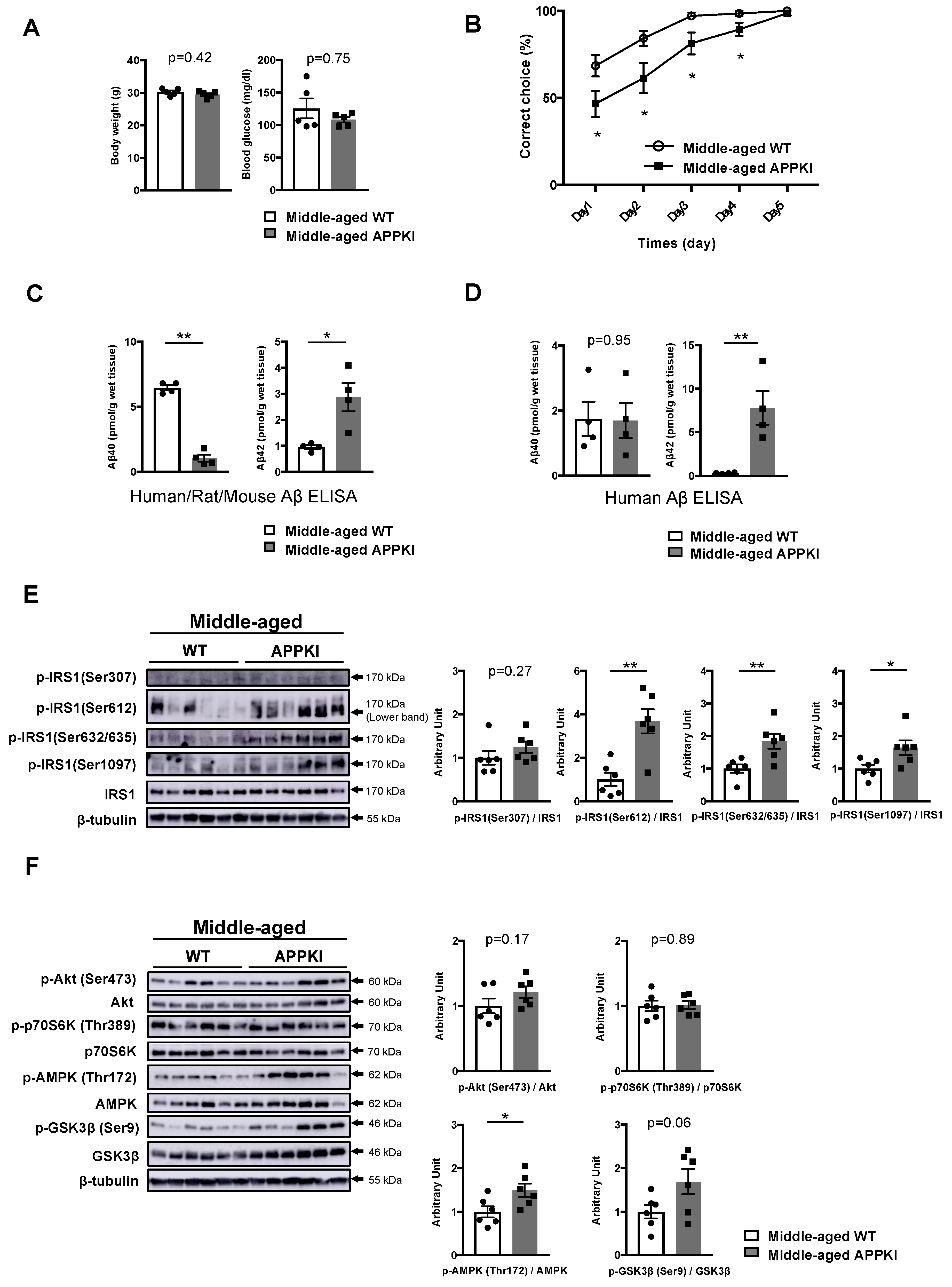 Nutrients 11 01942 g005 Nutrients 11 01942 g005