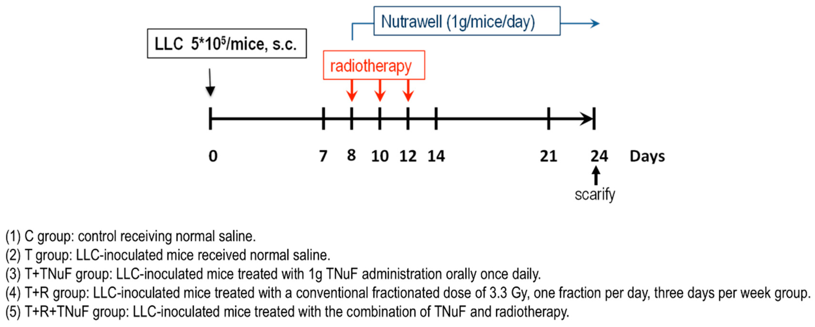 Nutrients 11 01944 g001 Nutrients 11 01944 g001