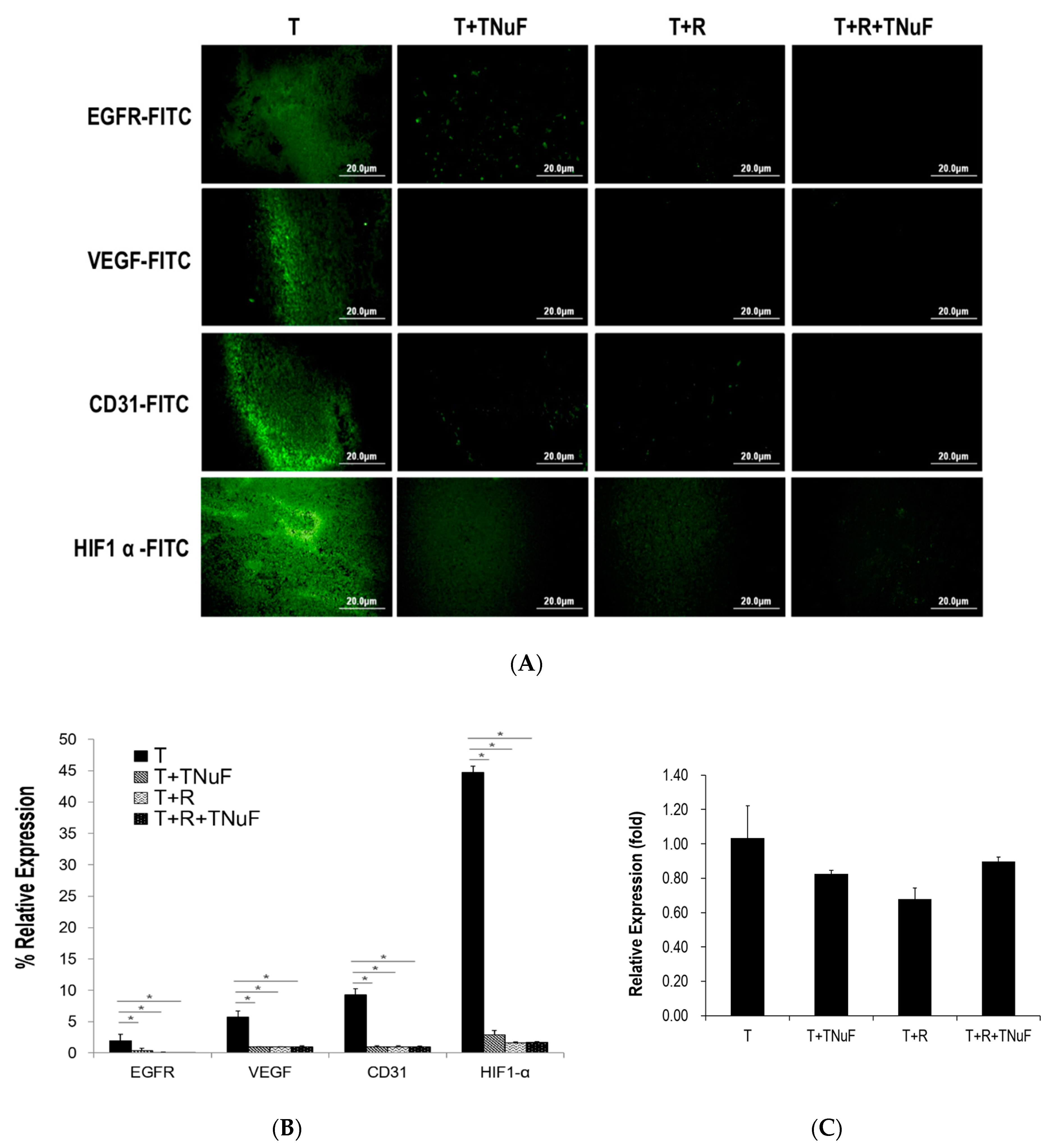 Nutrients 11 01944 g004 Nutrients 11 01944 g004