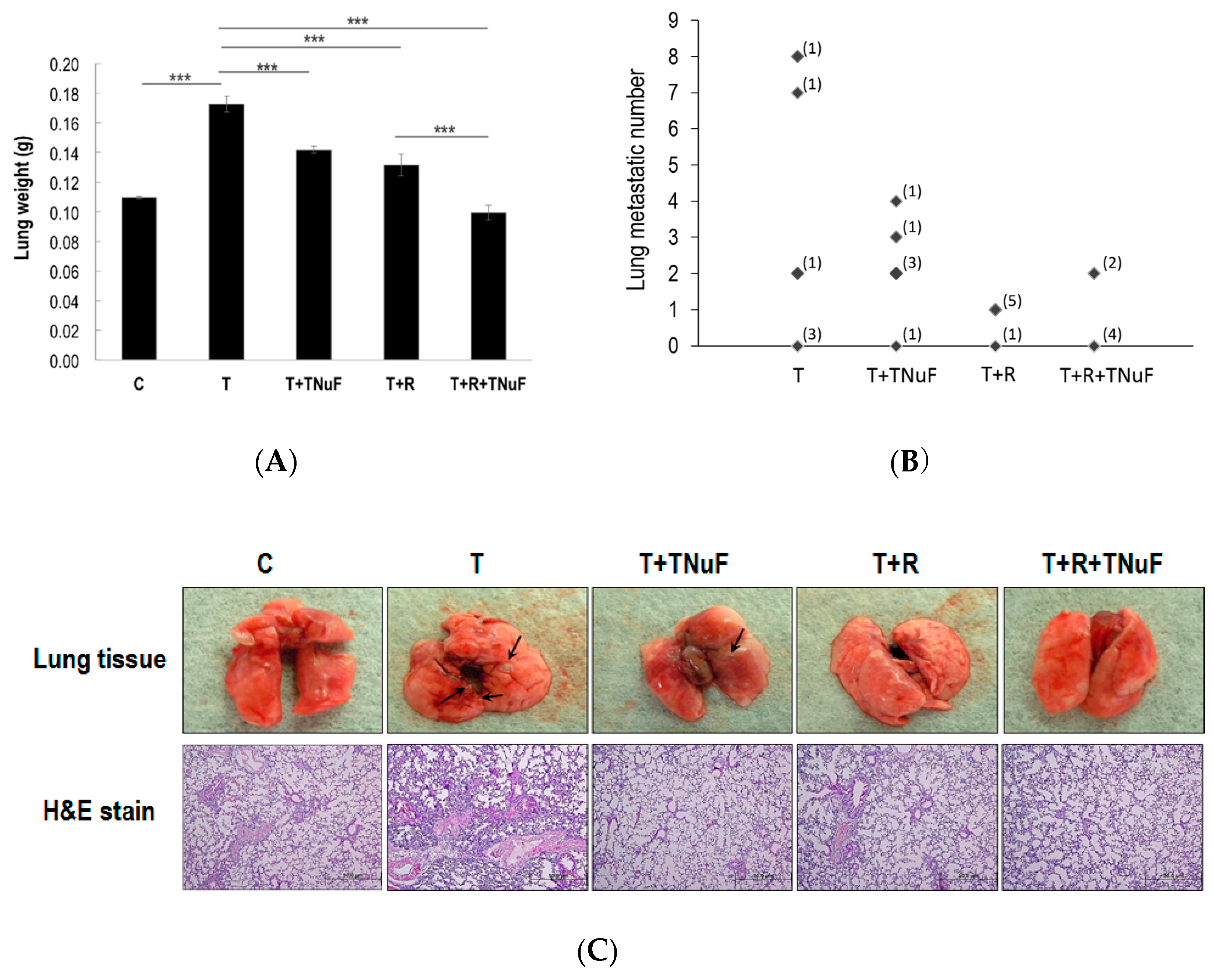 Nutrients 11 01944 g005a Nutrients 11 01944 g005a