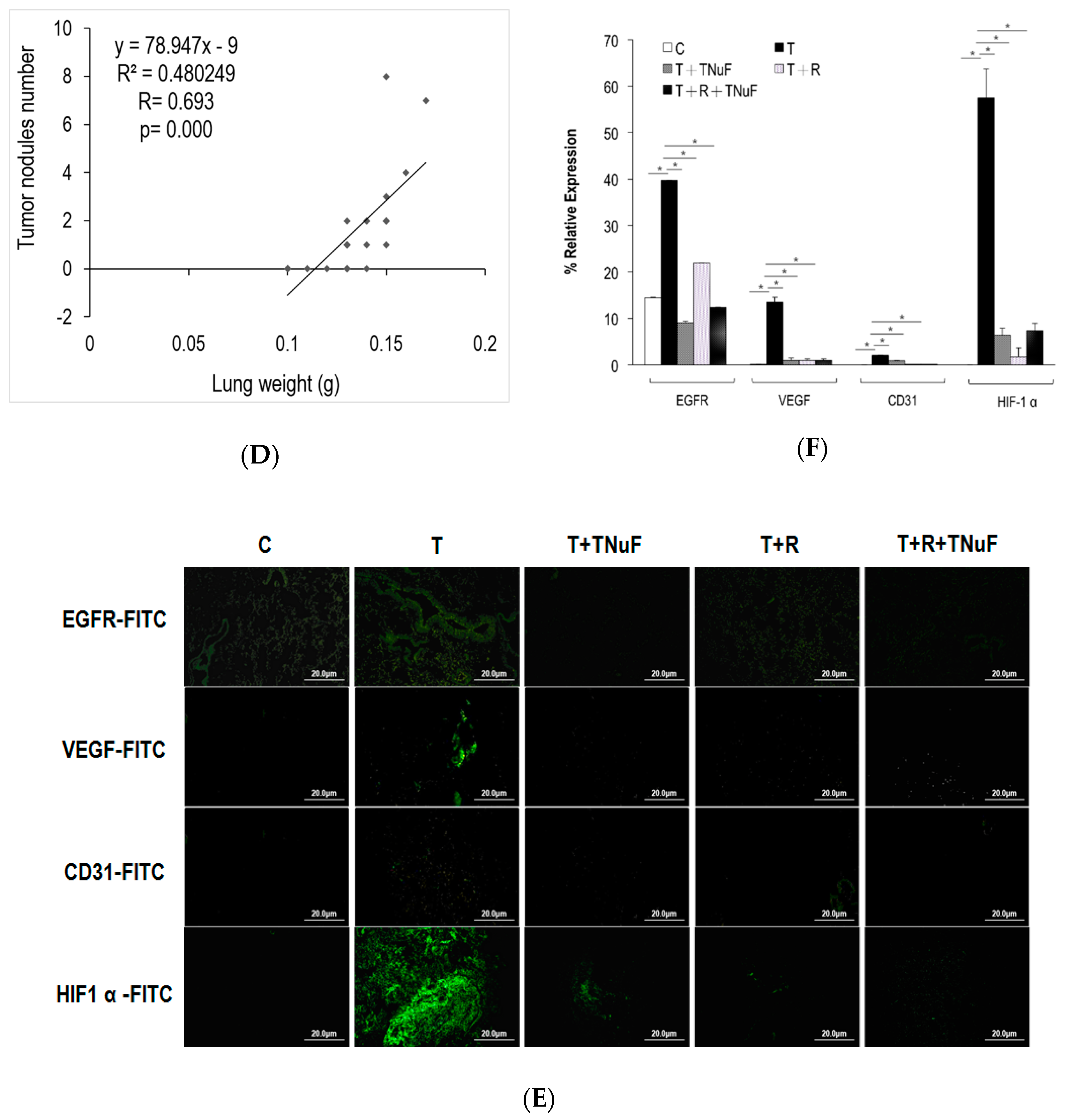 Nutrients 11 01944 g005b Nutrients 11 01944 g005b