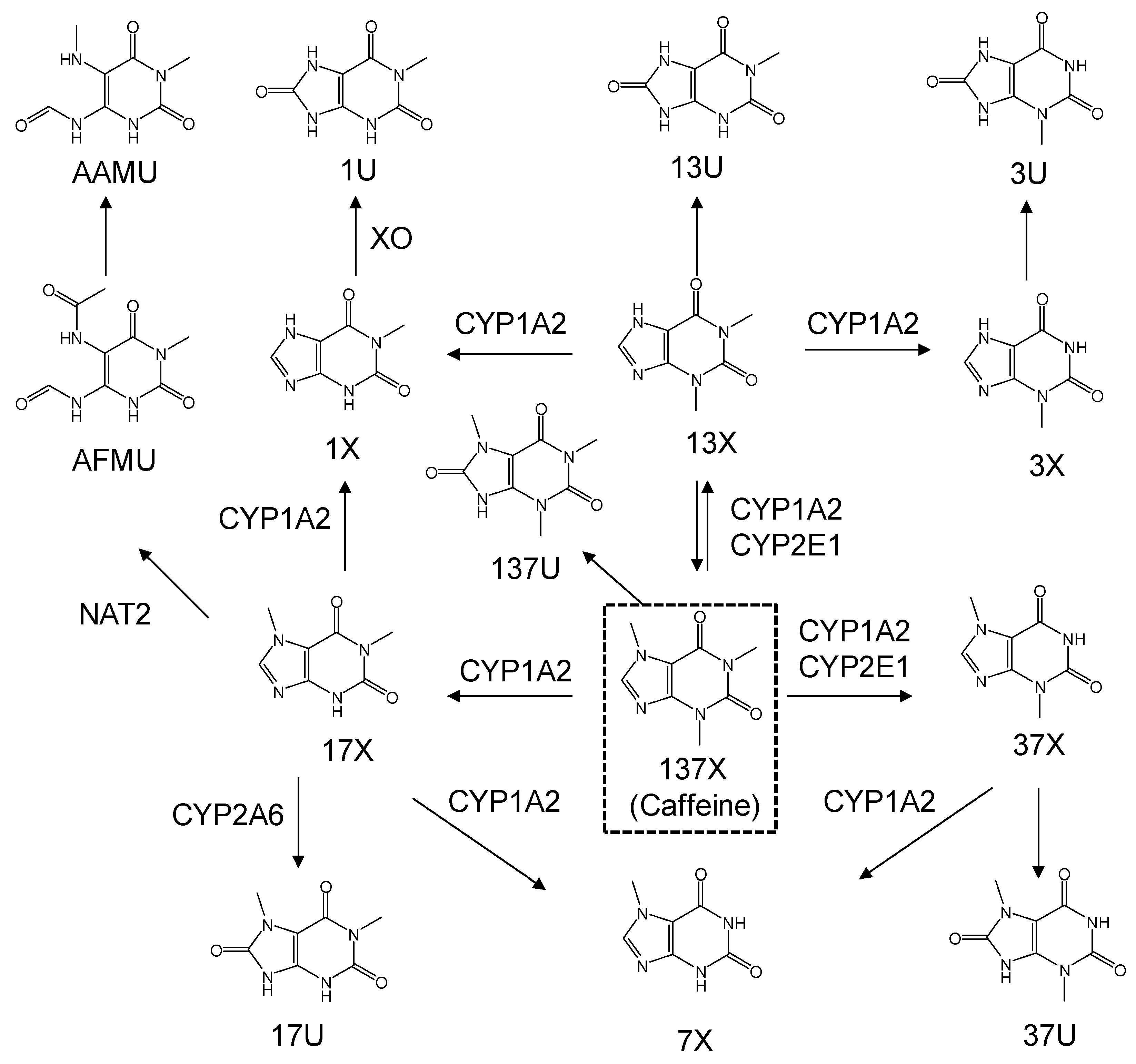 Nutrients 11 01947 g001 Nutrients 11 01947 g001