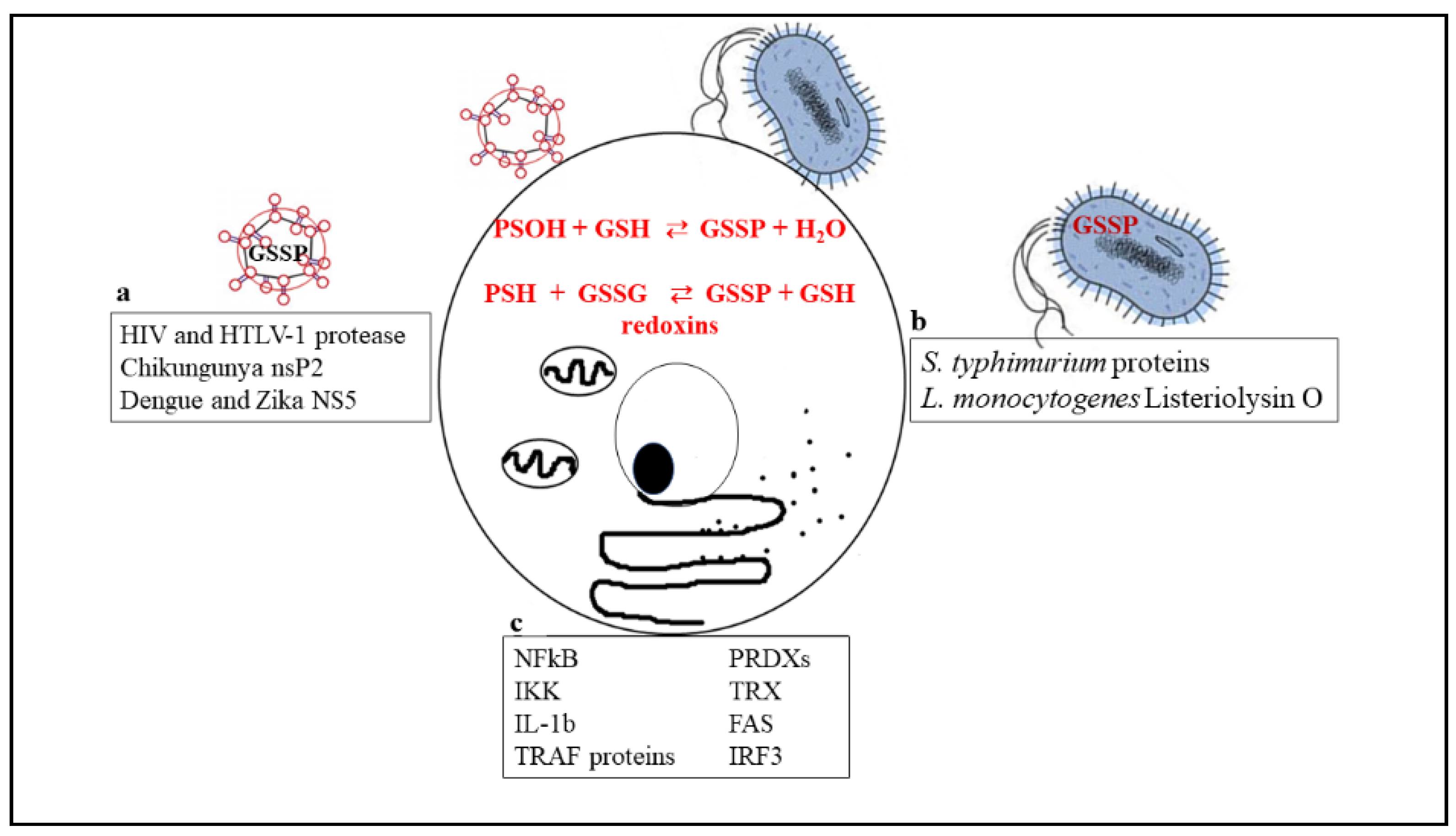 Nutrients 11 01952 g001