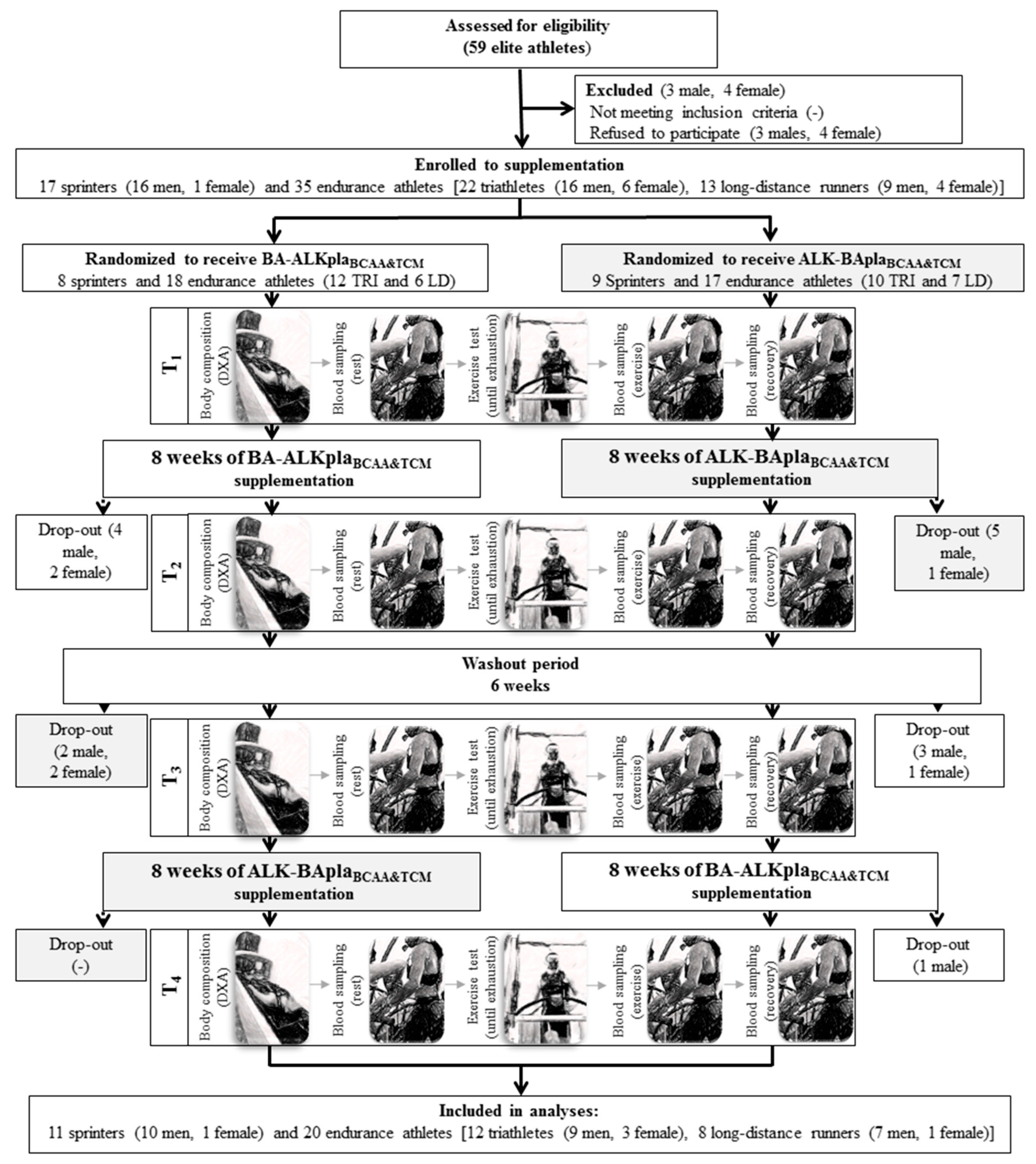 Amino Acid Chain Chart