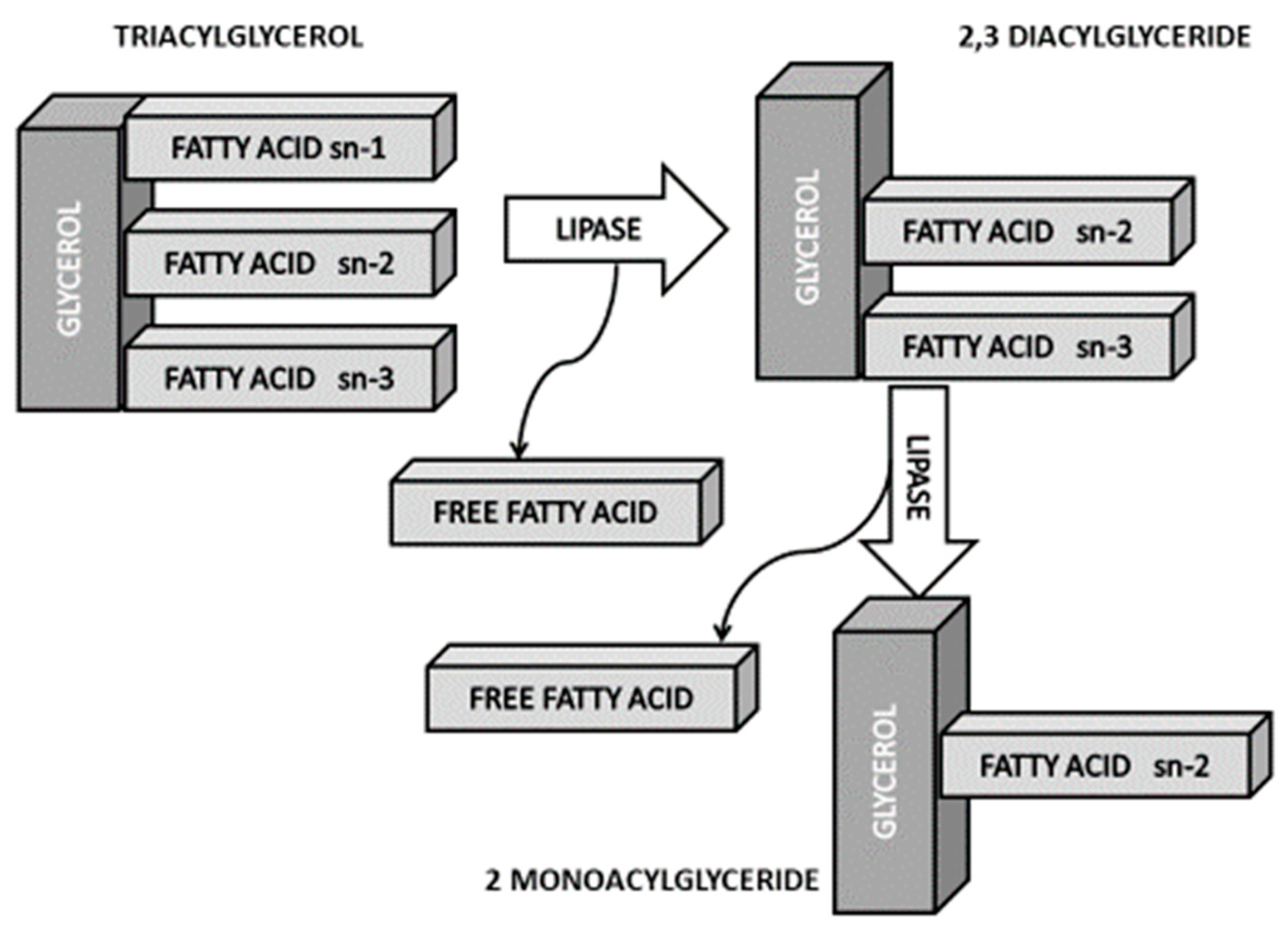 Nutrients 11 02008 g003