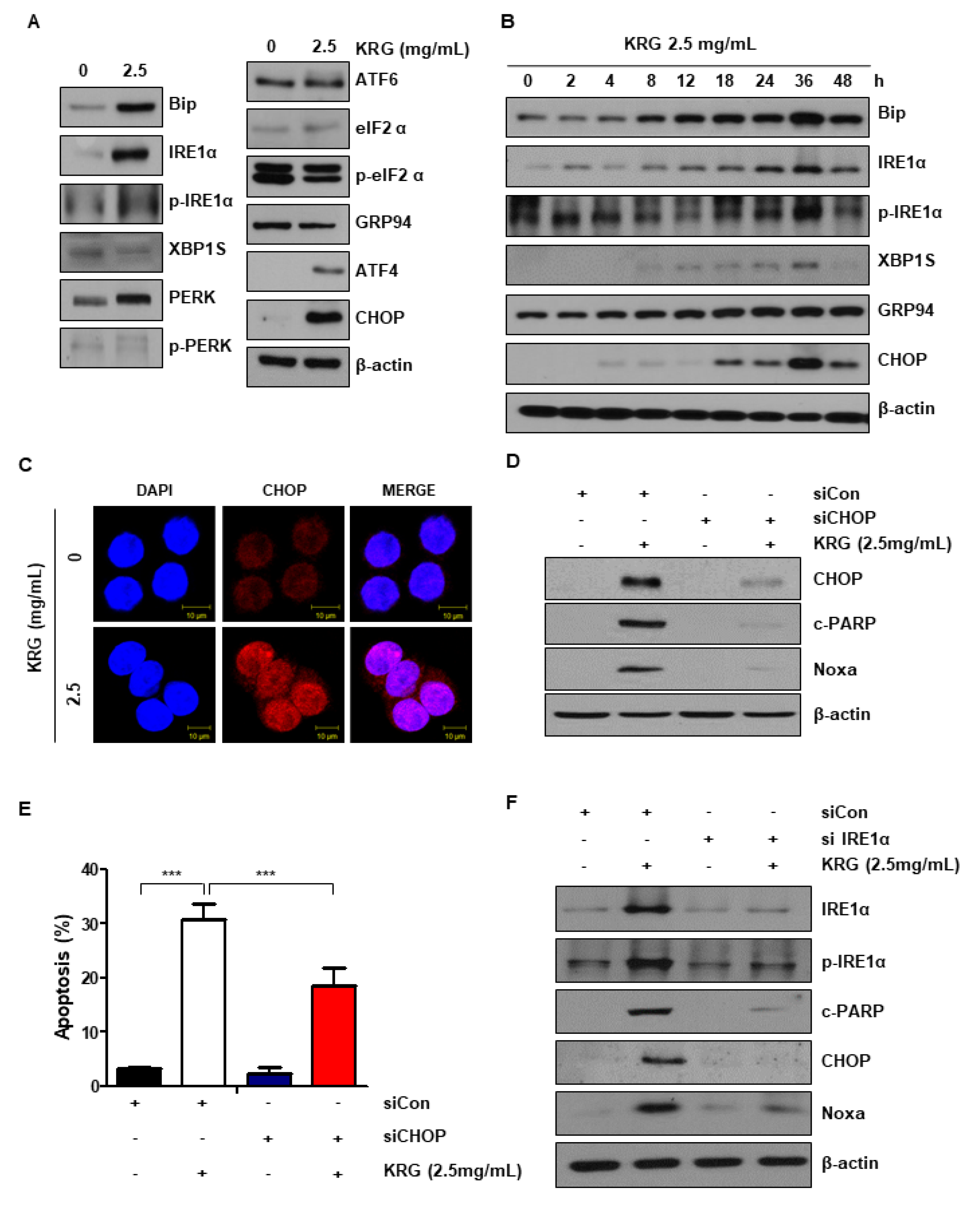 Nutrients 11 02026 g003 Nutrients 11 02026 g003