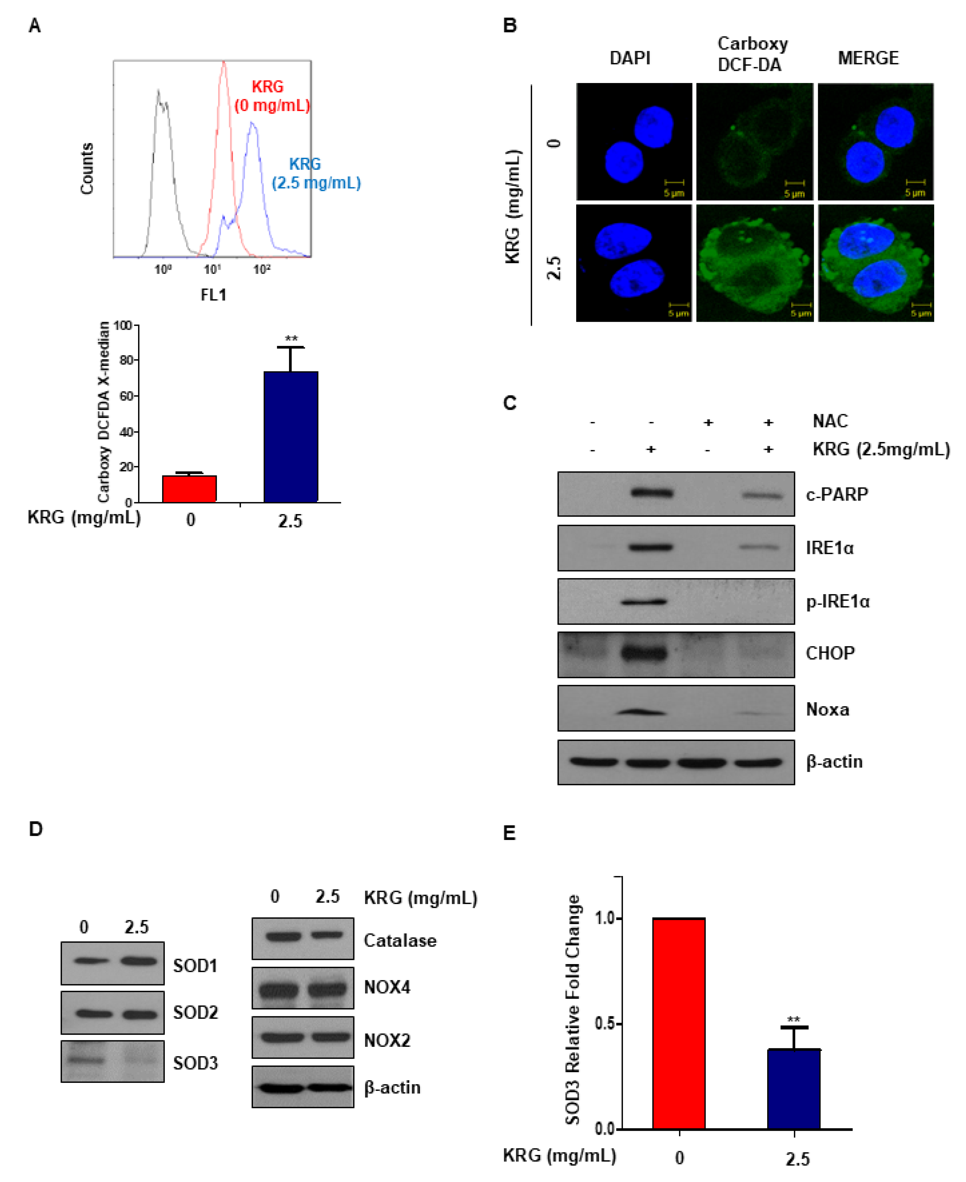 Nutrients 11 02026 g004 Nutrients 11 02026 g004