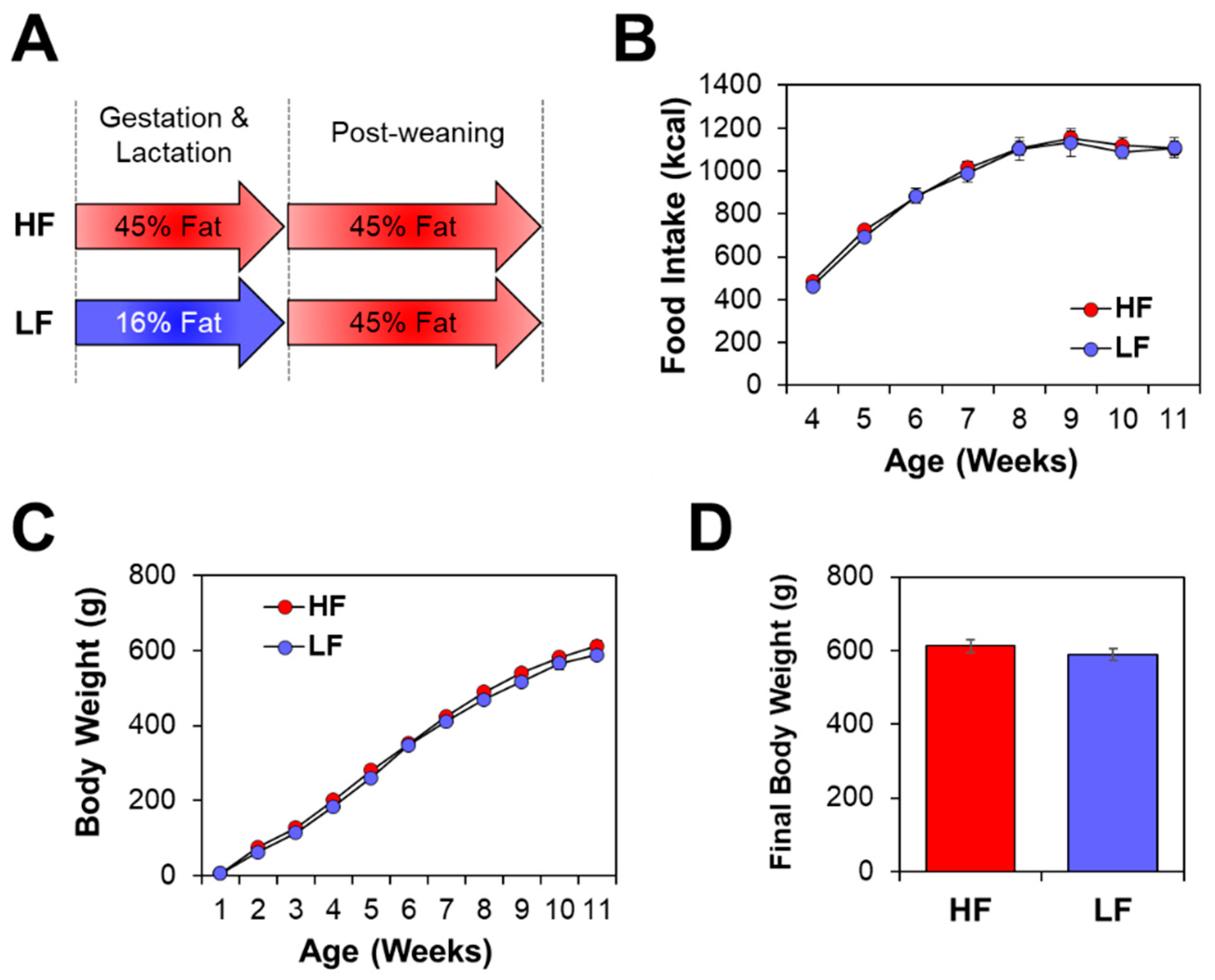 Nutrients 11 02075 g001 Nutrients 11 02075 g001