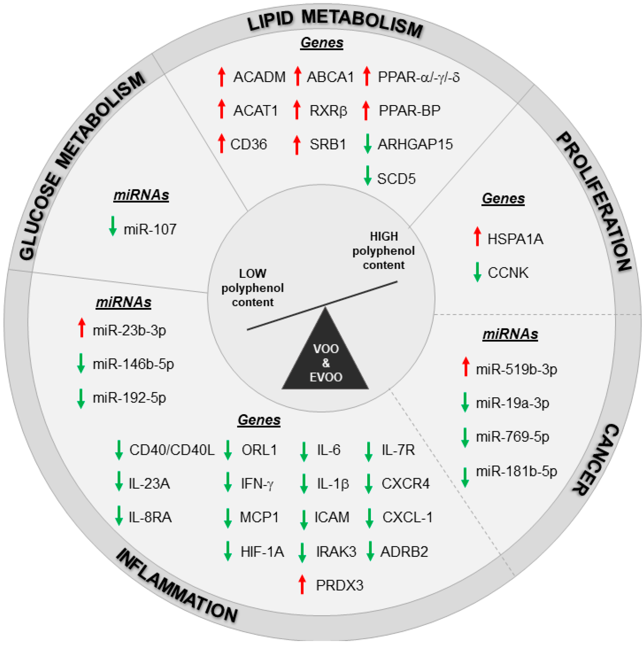 Nutrients 11 02085 g001 Nutrients 11 02085 g001