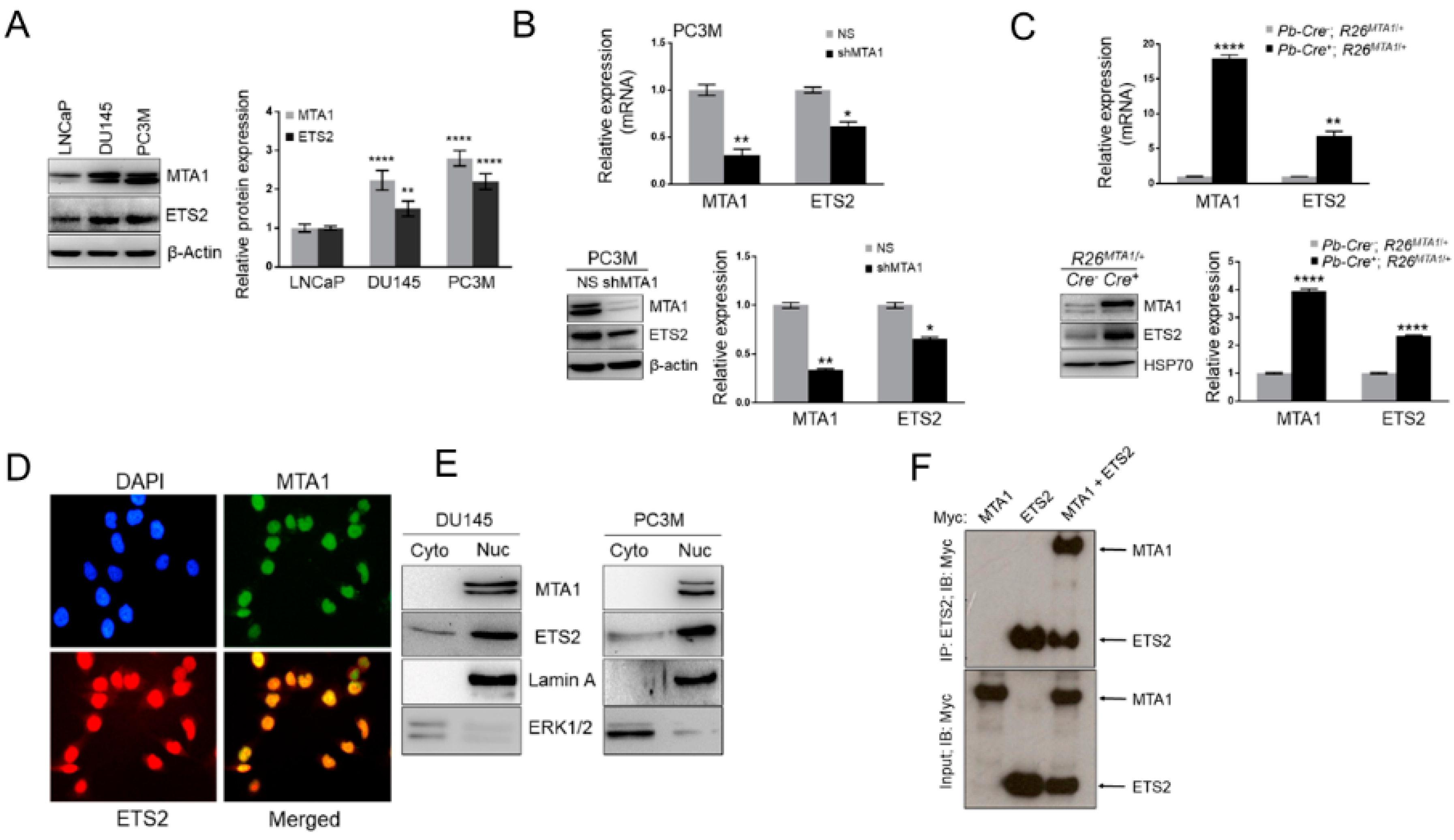 Nutrients 11 02096 g005 Nutrients 11 02096 g005