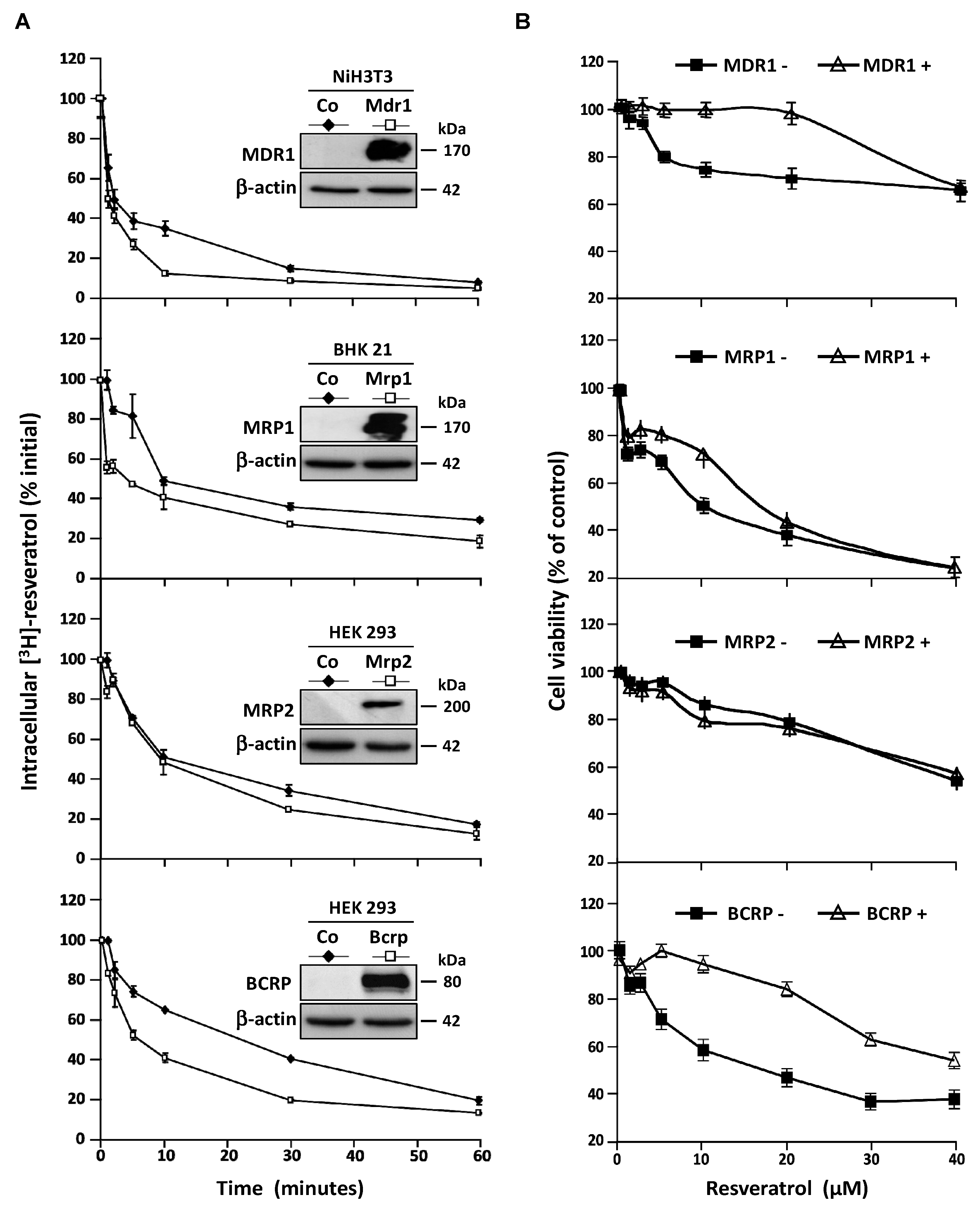 Nutrients 11 02098 g004 Nutrients 11 02098 g004
