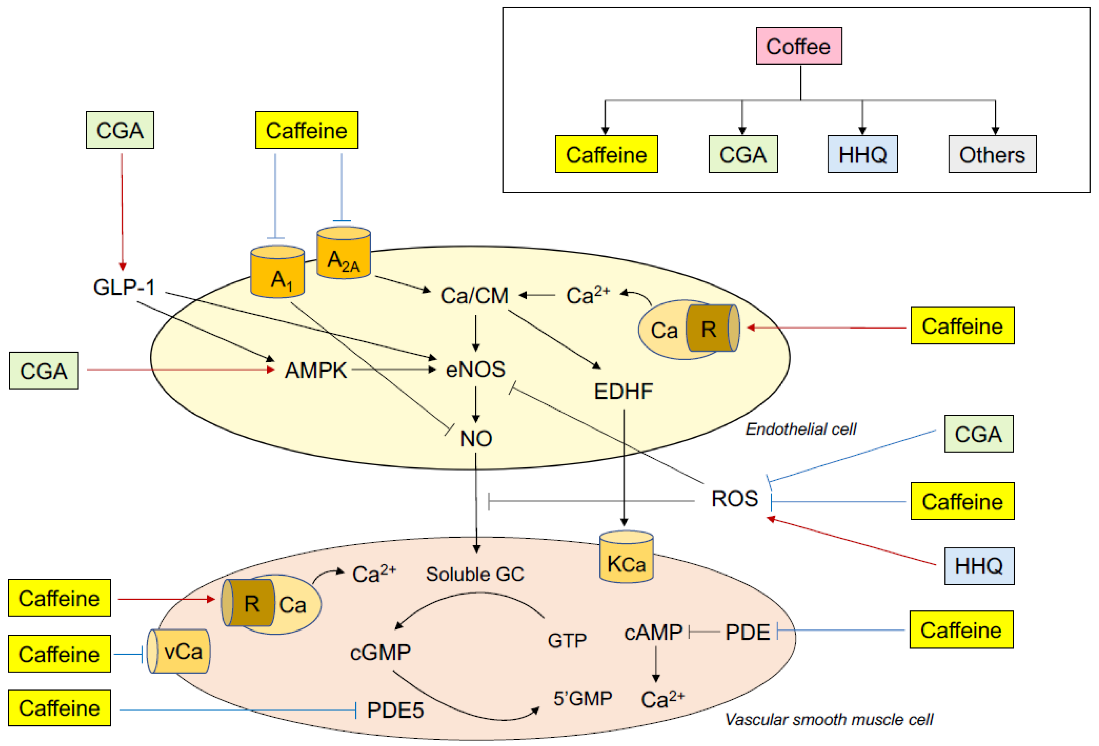 Nutrients 11 02104 g001 Nutrients 11 02104 g001