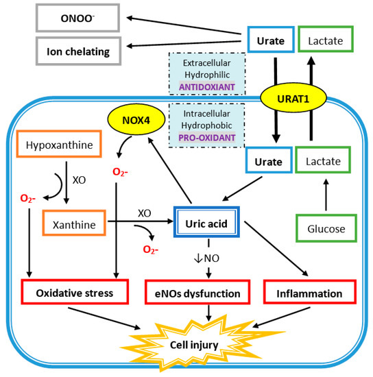 Nutrients 11 02111 g001 550