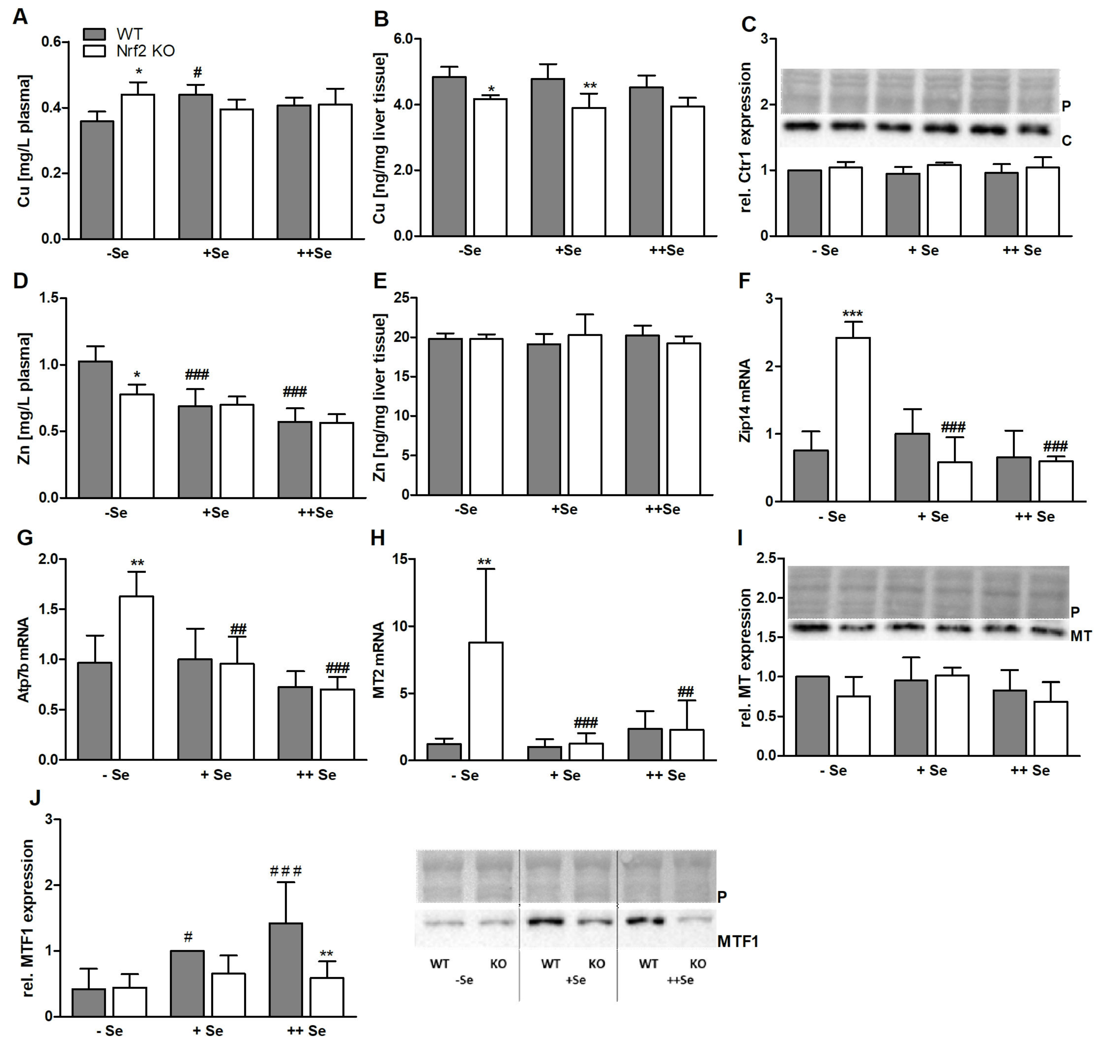 Nutrients 11 02112 g005