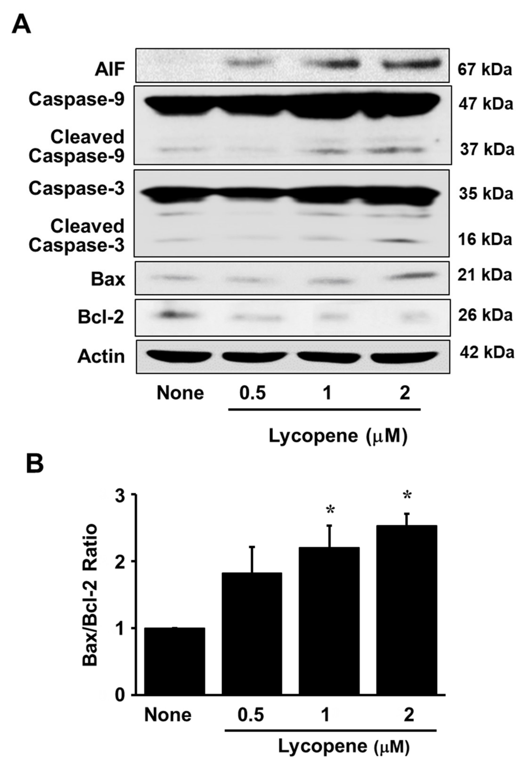 Nutrients 11 02113 g003