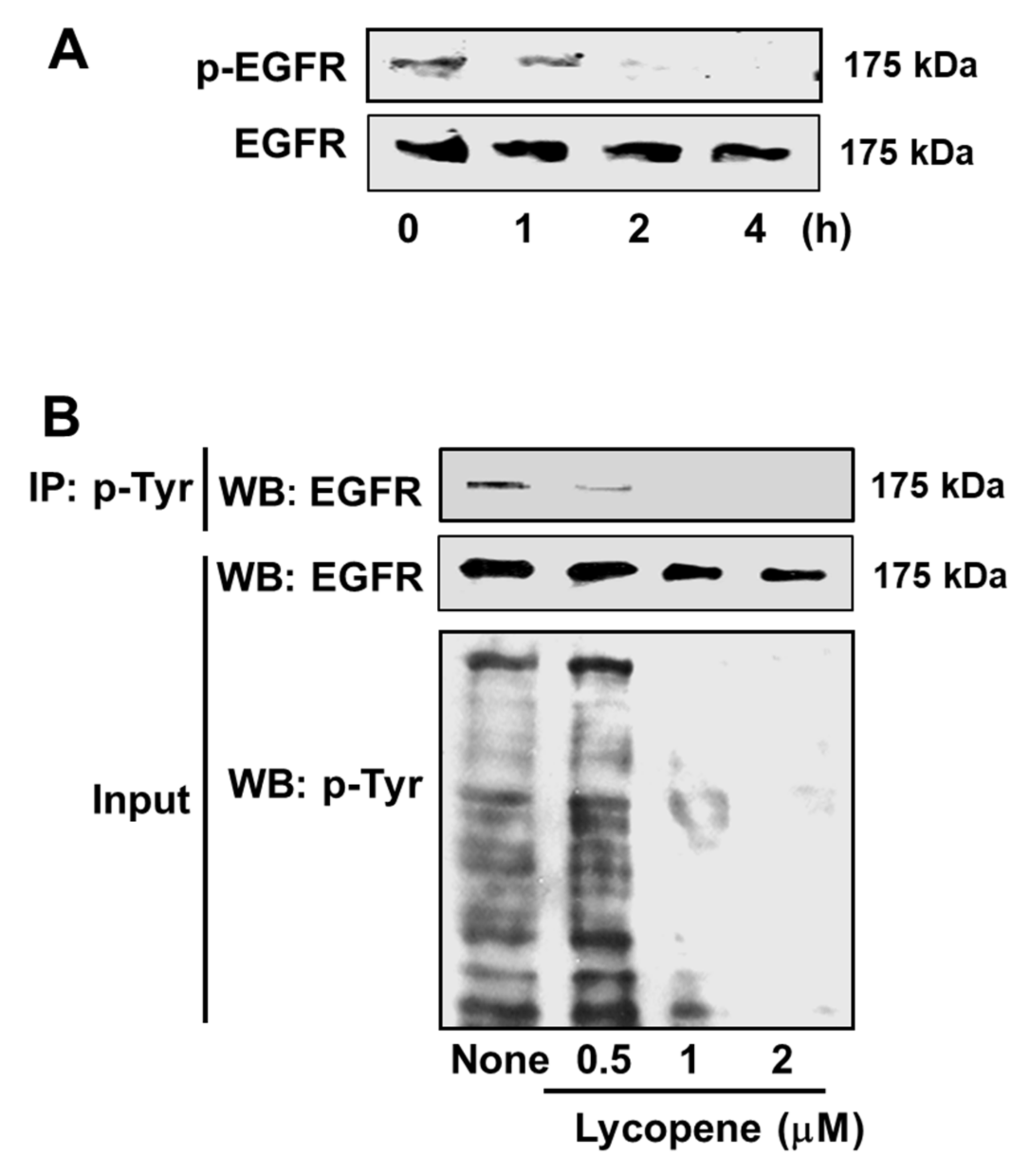 Nutrients 11 02113 g005