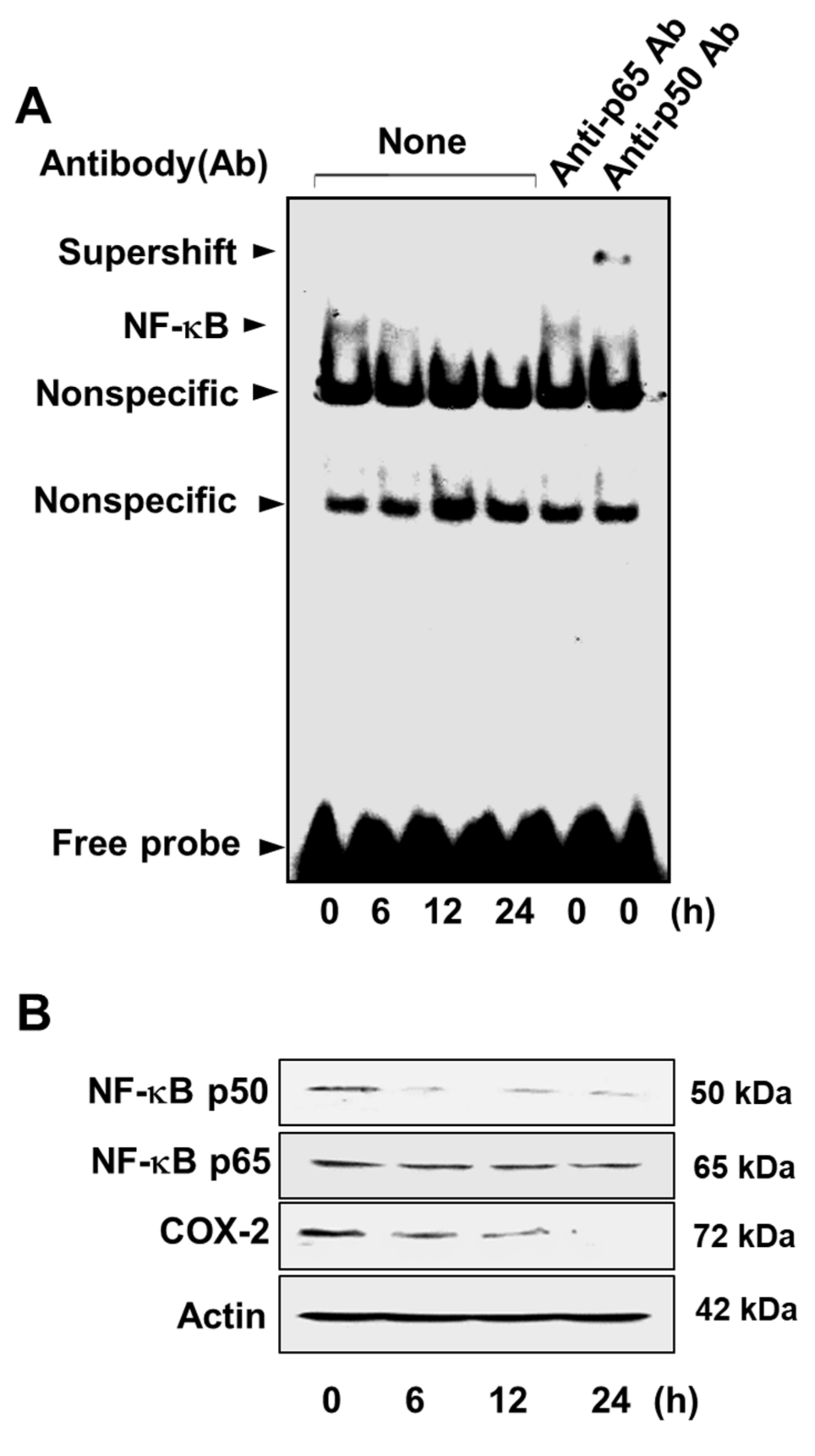 Nutrients 11 02113 g007