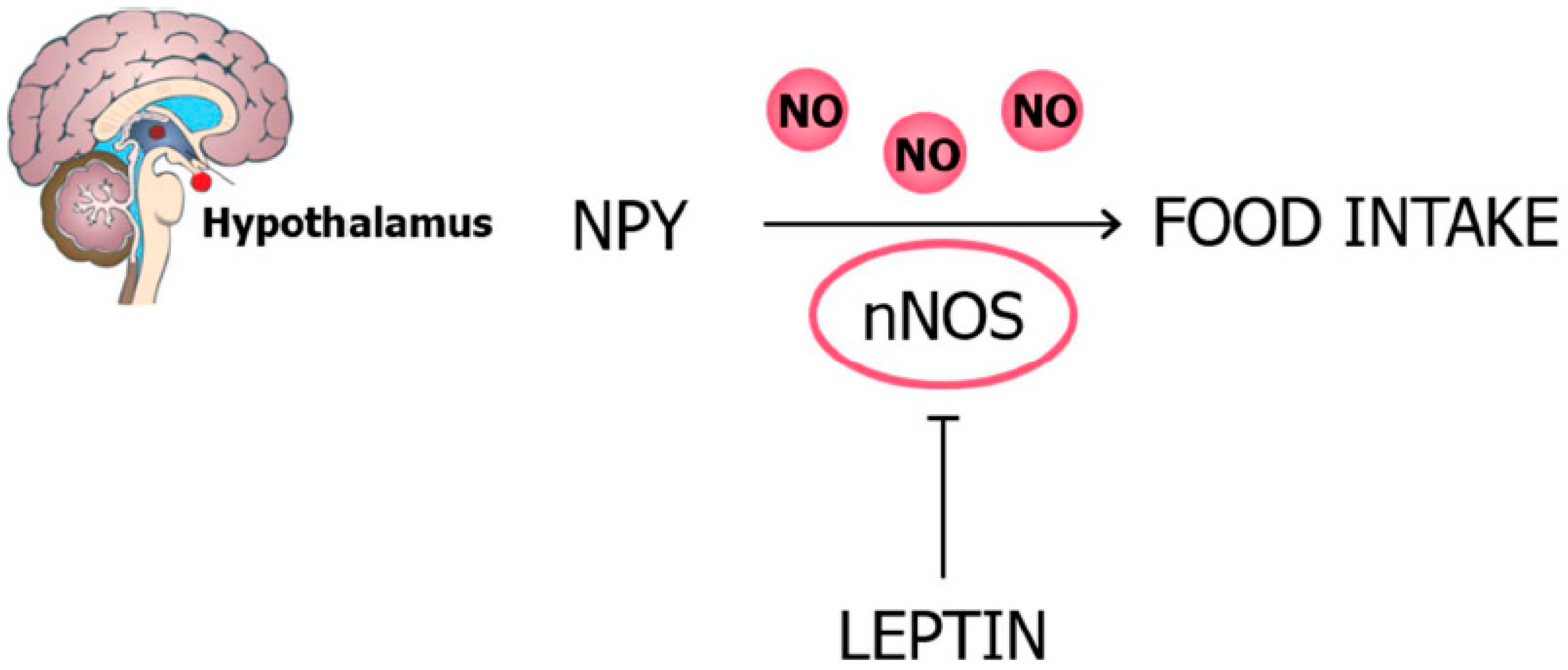 Nutrients 11 02129 g001 Nutrients 11 02129 g001