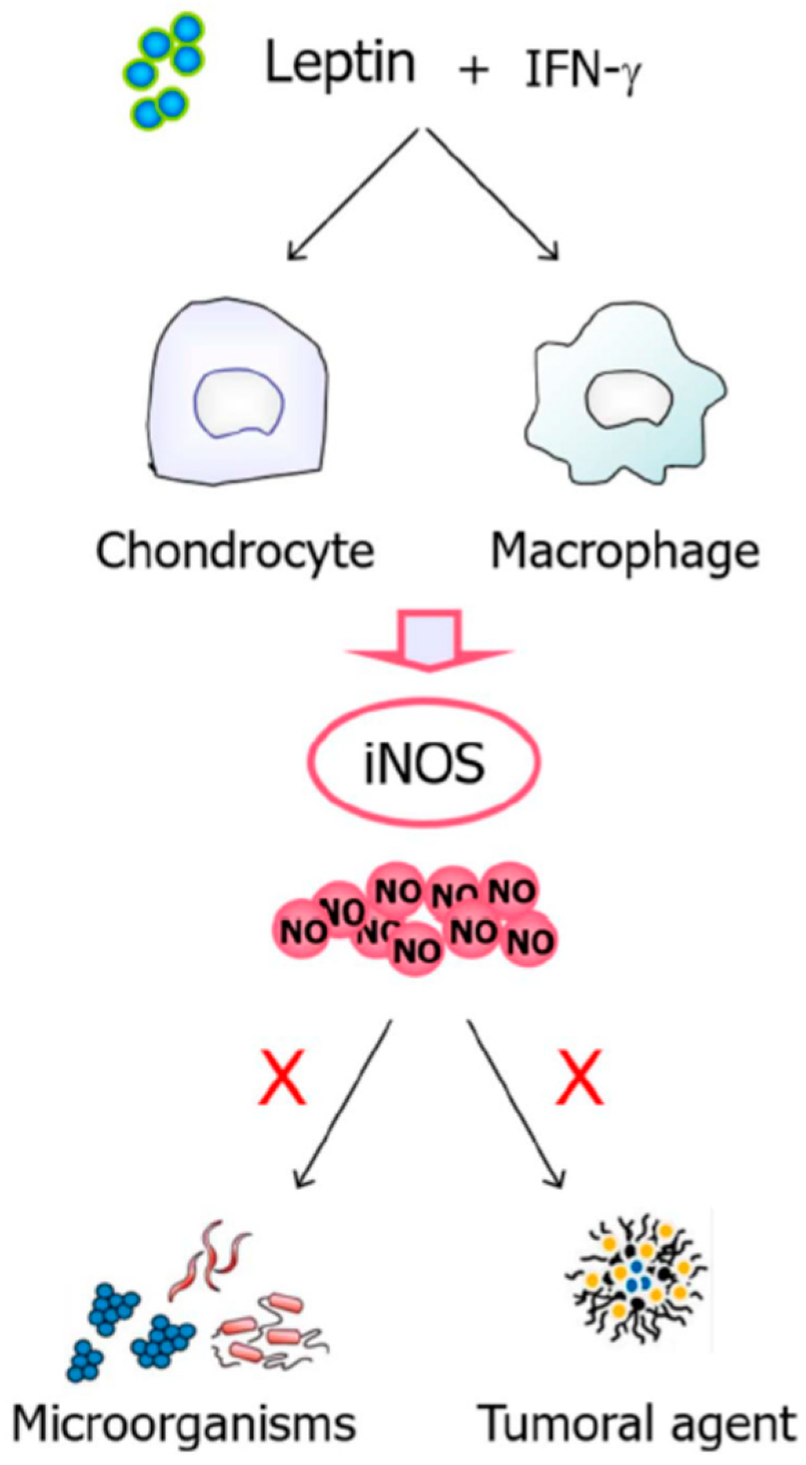 Nutrients 11 02129 g006 Nutrients 11 02129 g006
